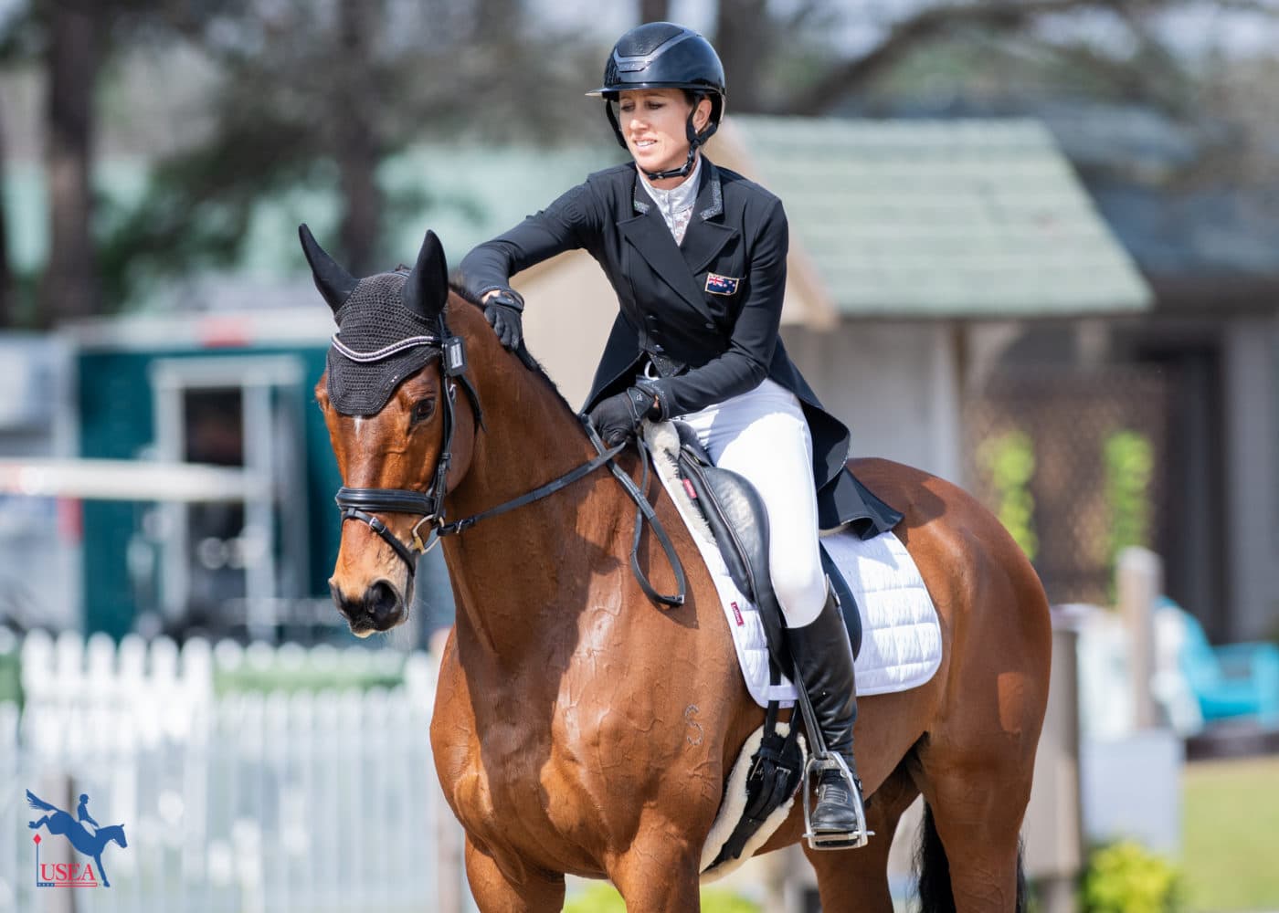 Monica Spencer and Artist are leading the CCI4*-S. USEA/Lindsay Berreth photo