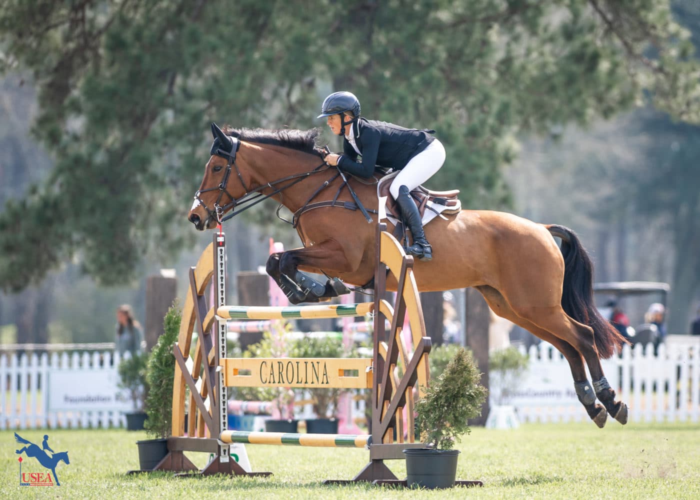 Elisa Wallace and Lissavorra Quality moved into 10th place. USEA/Lindsay Berreth photo