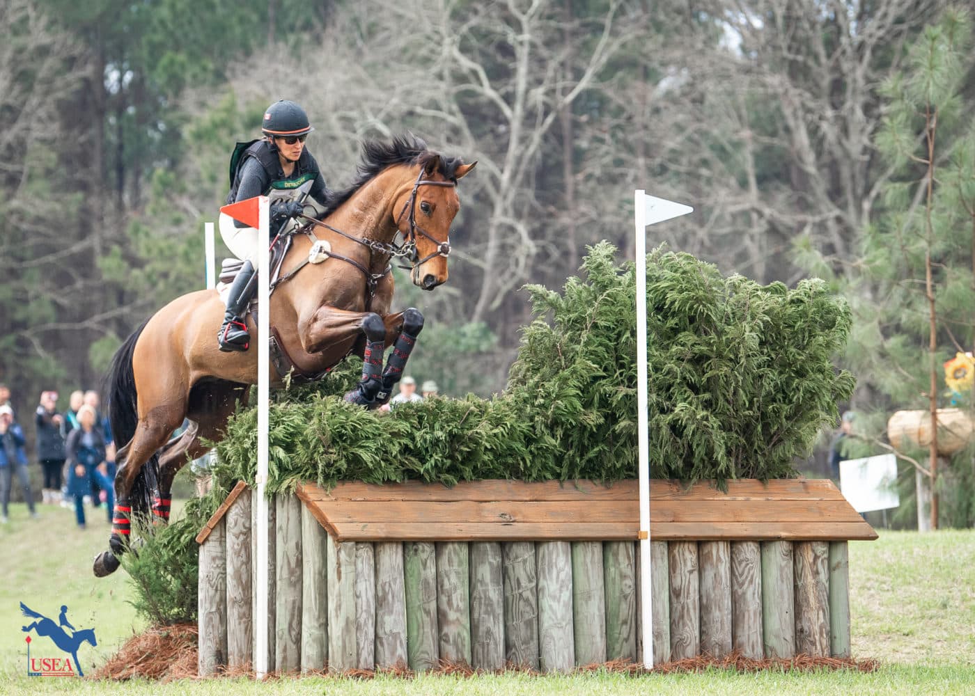 Canada's Lindsay Traisnel and Bacyrouge earned fifth. USEA/Lindsay Berreth photo