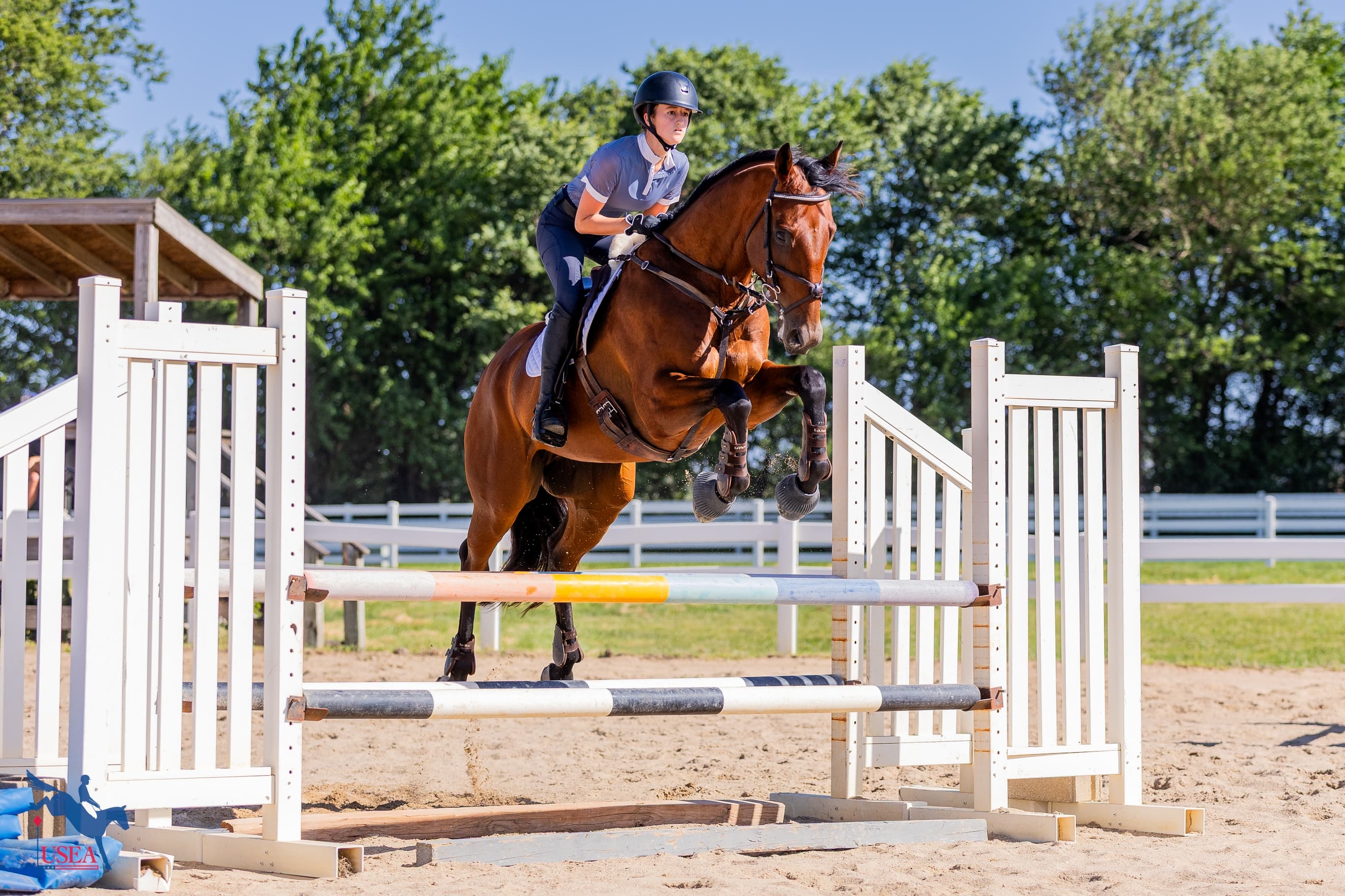 Charlotte Schaef. USEA/Haley Johnson photo