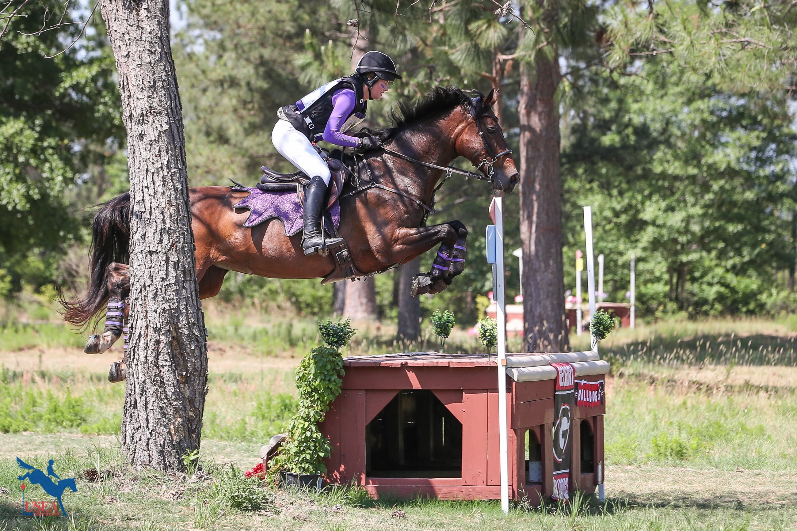 USEA/Annan Hepner photo