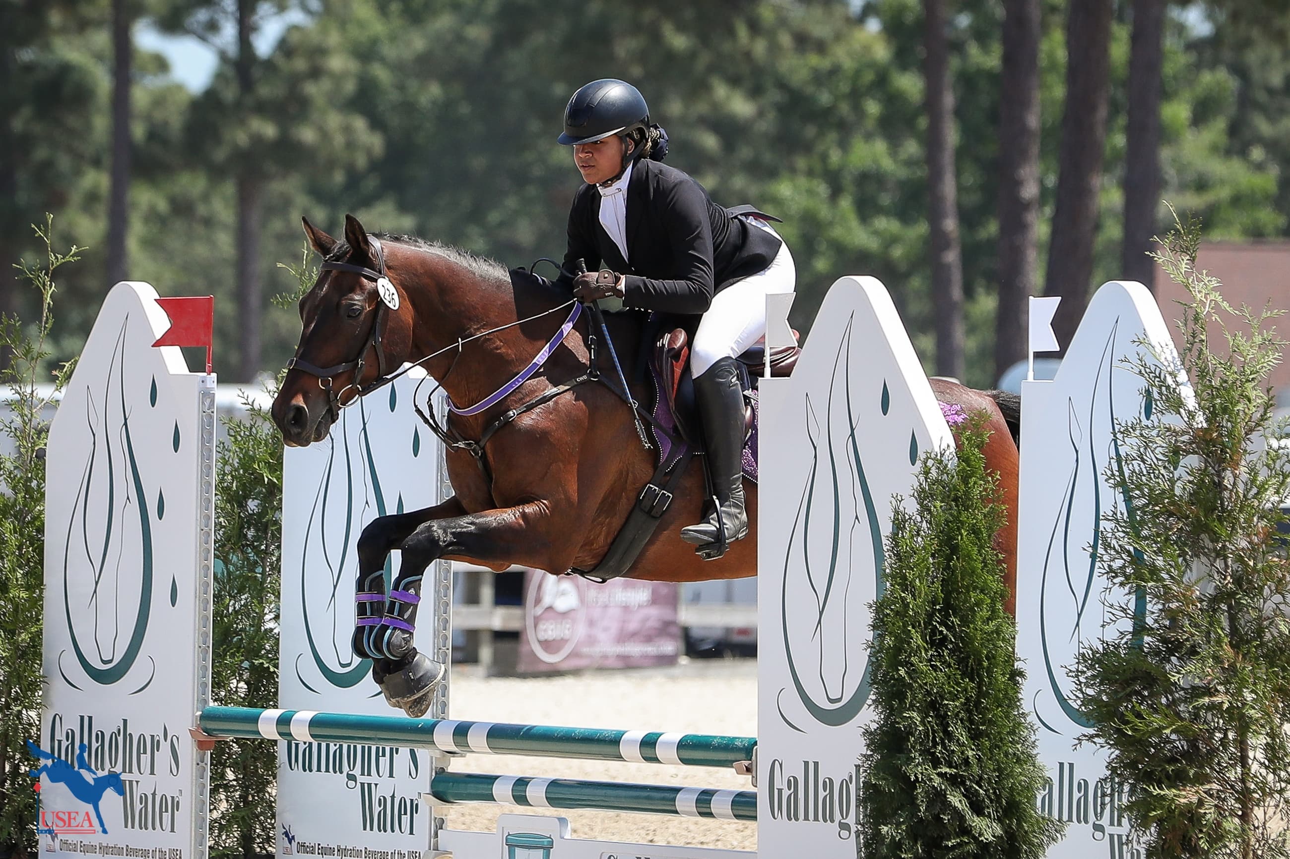 USEA/Annan Hepner photo