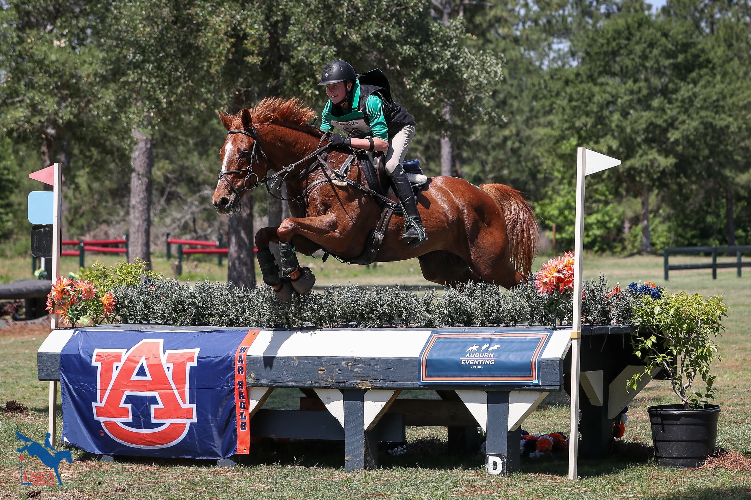 USEA/Annan Hepner photo
