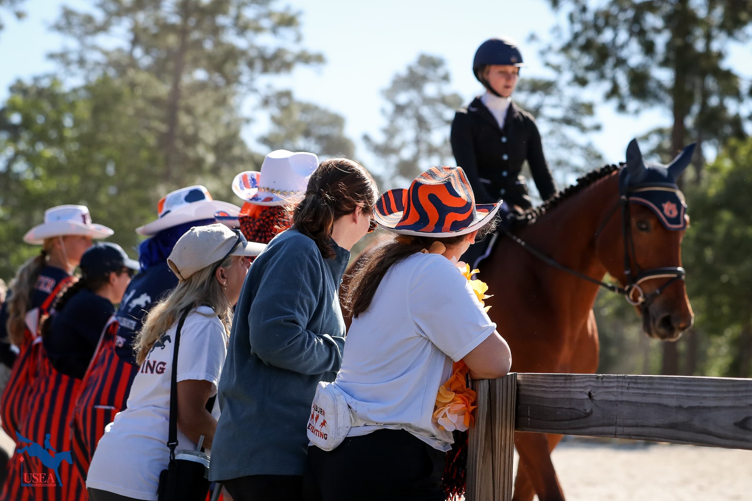 USEA/Annan Hepner photo