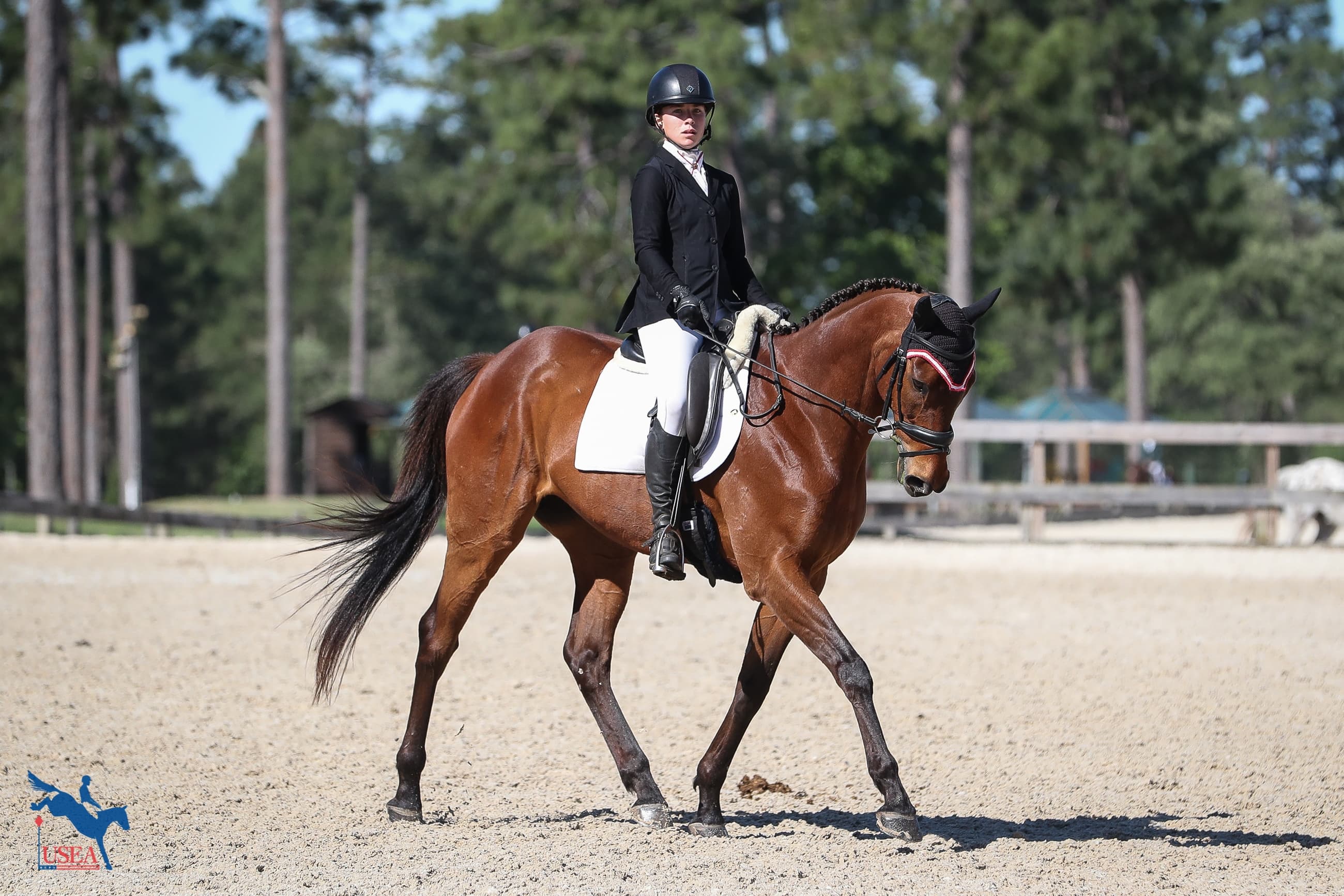 USEA/Annan Hepner photo