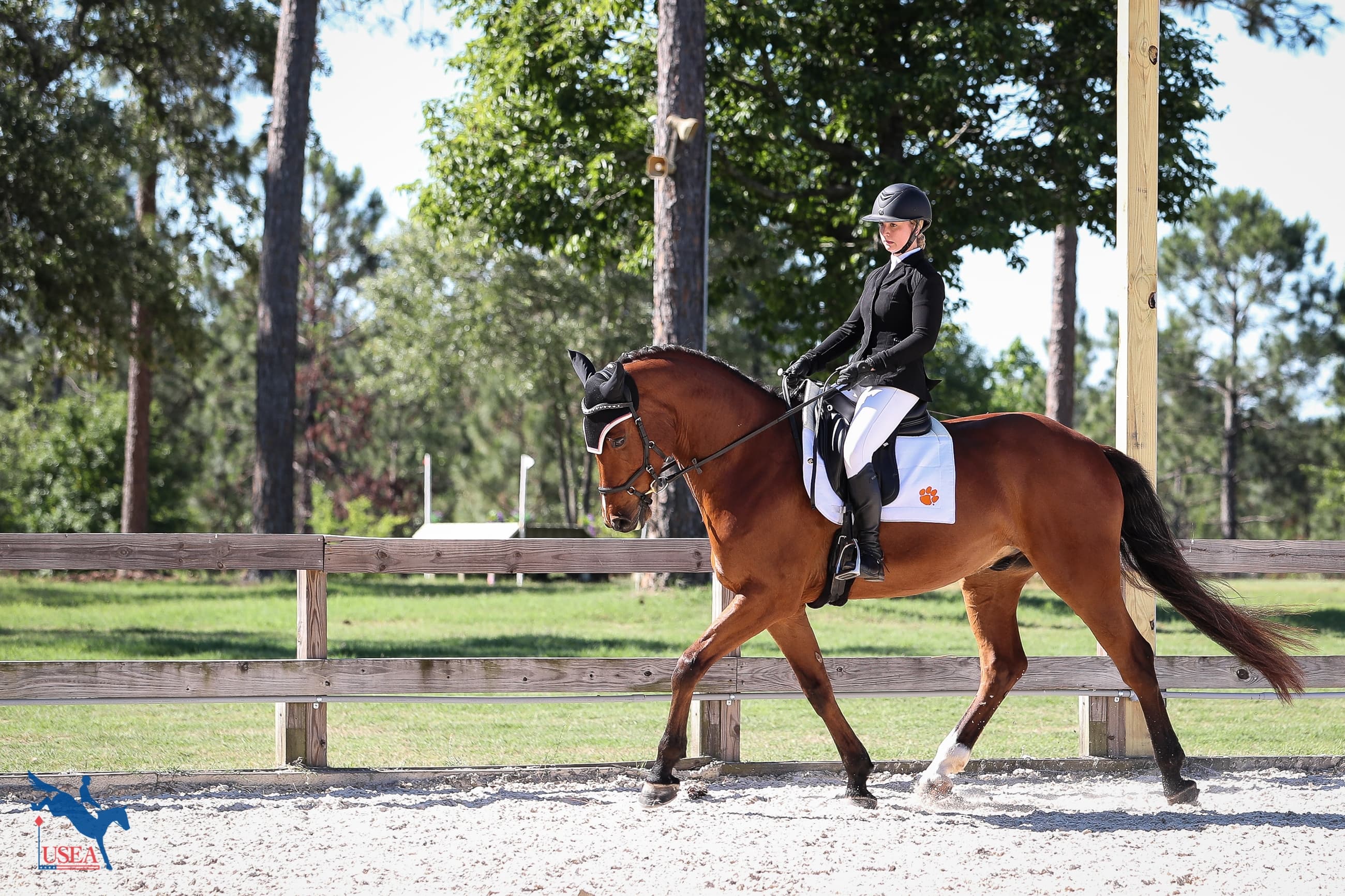 USEA/Annan Hepner photo