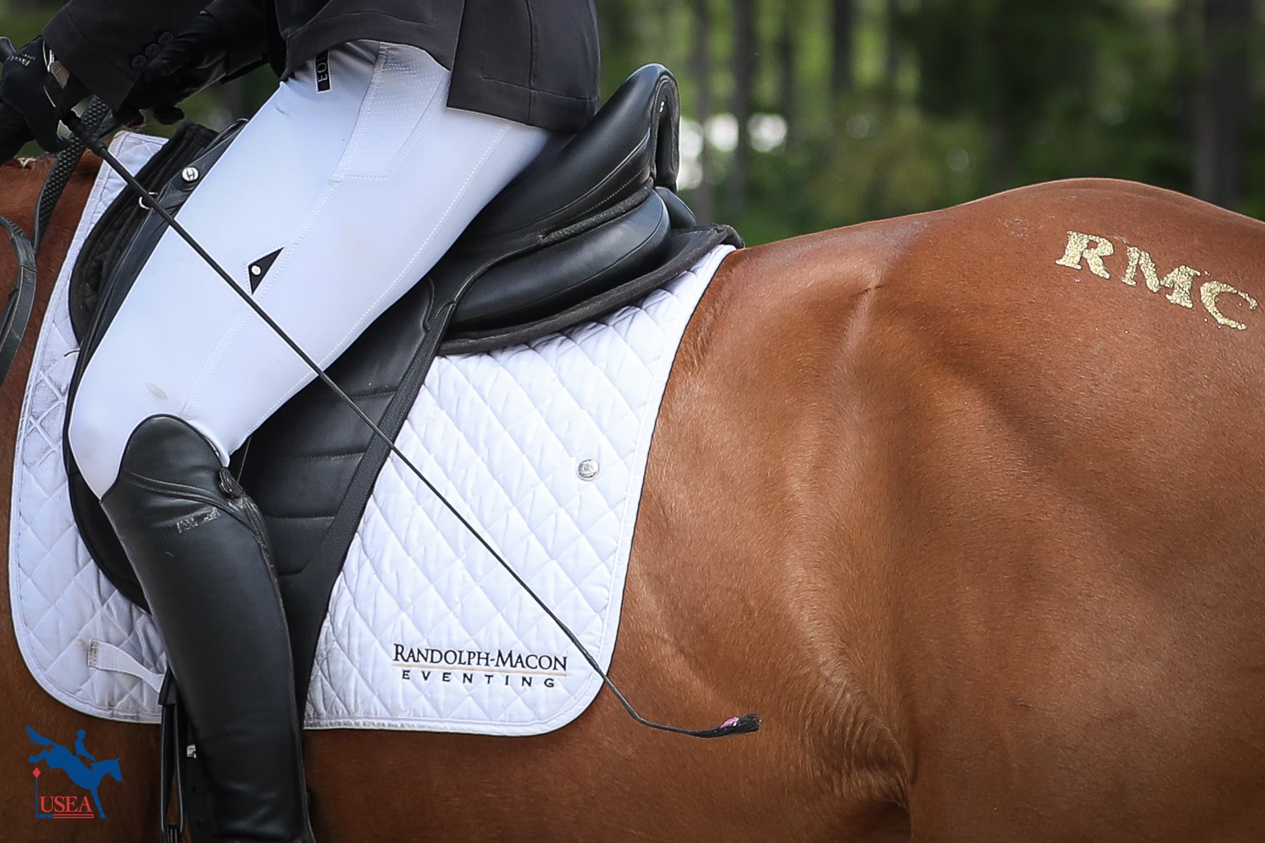 USEA/Annan Hepner photo