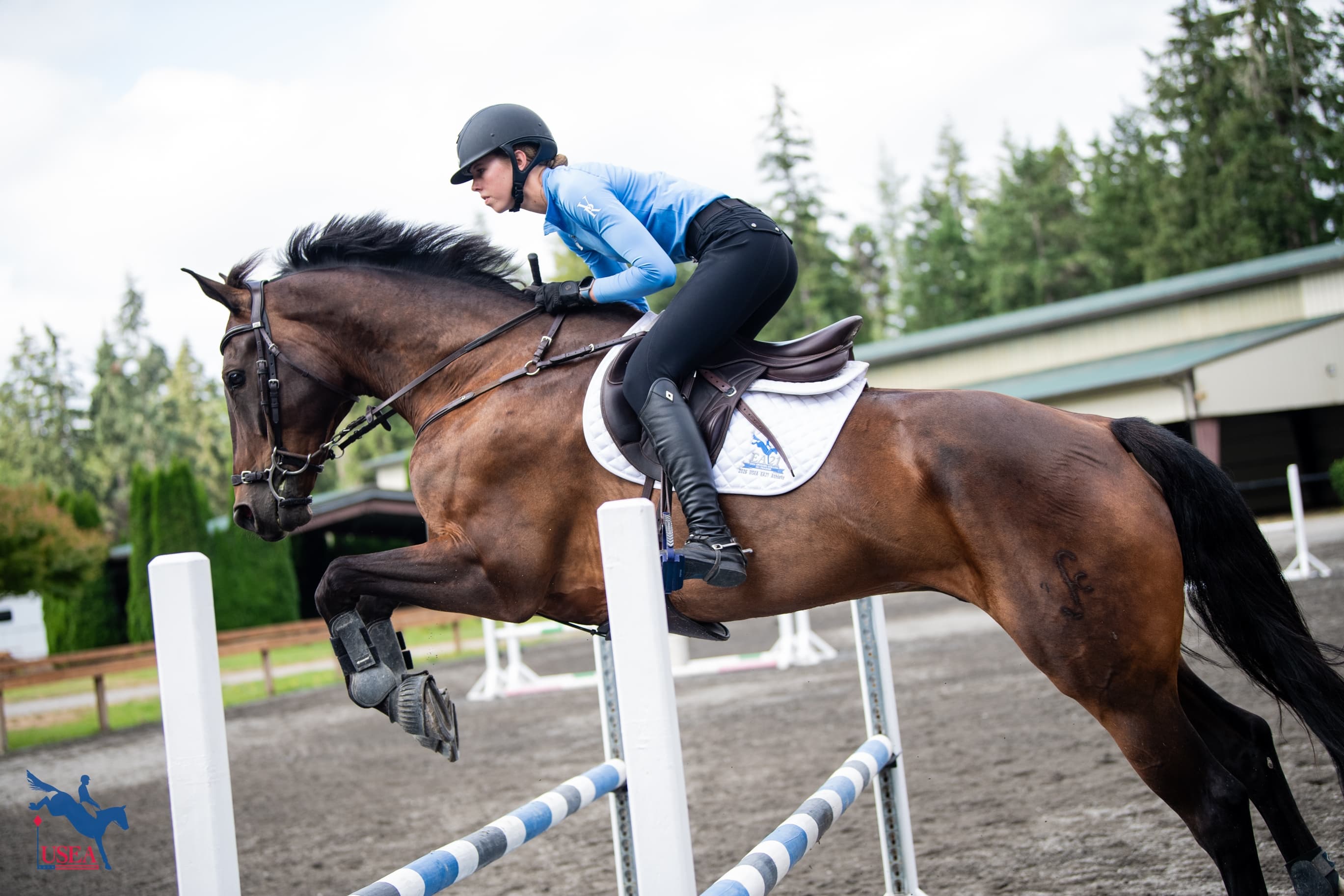 USEA/Lindsay Berreth photo