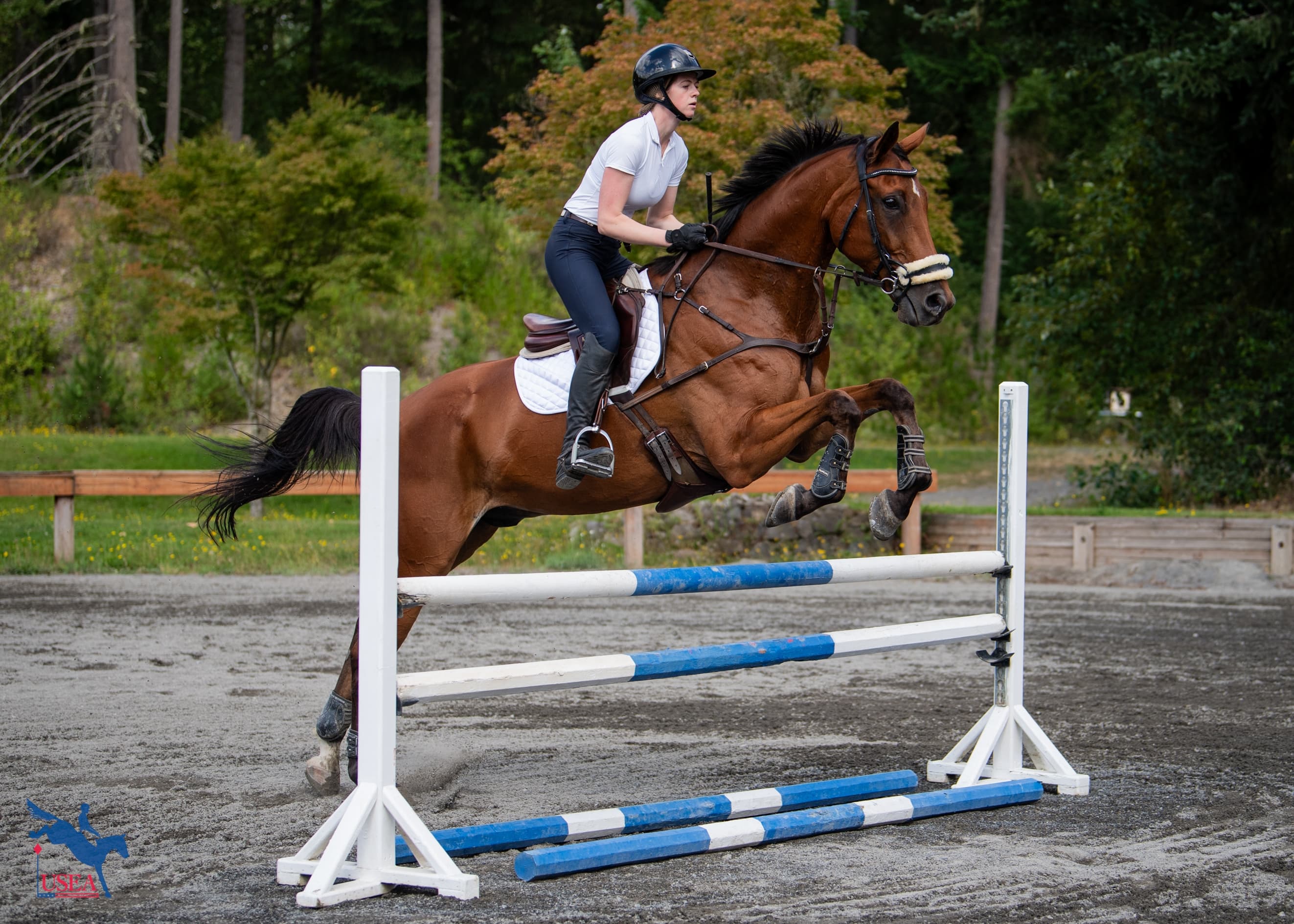 USEA/Lindsay Berreth photo