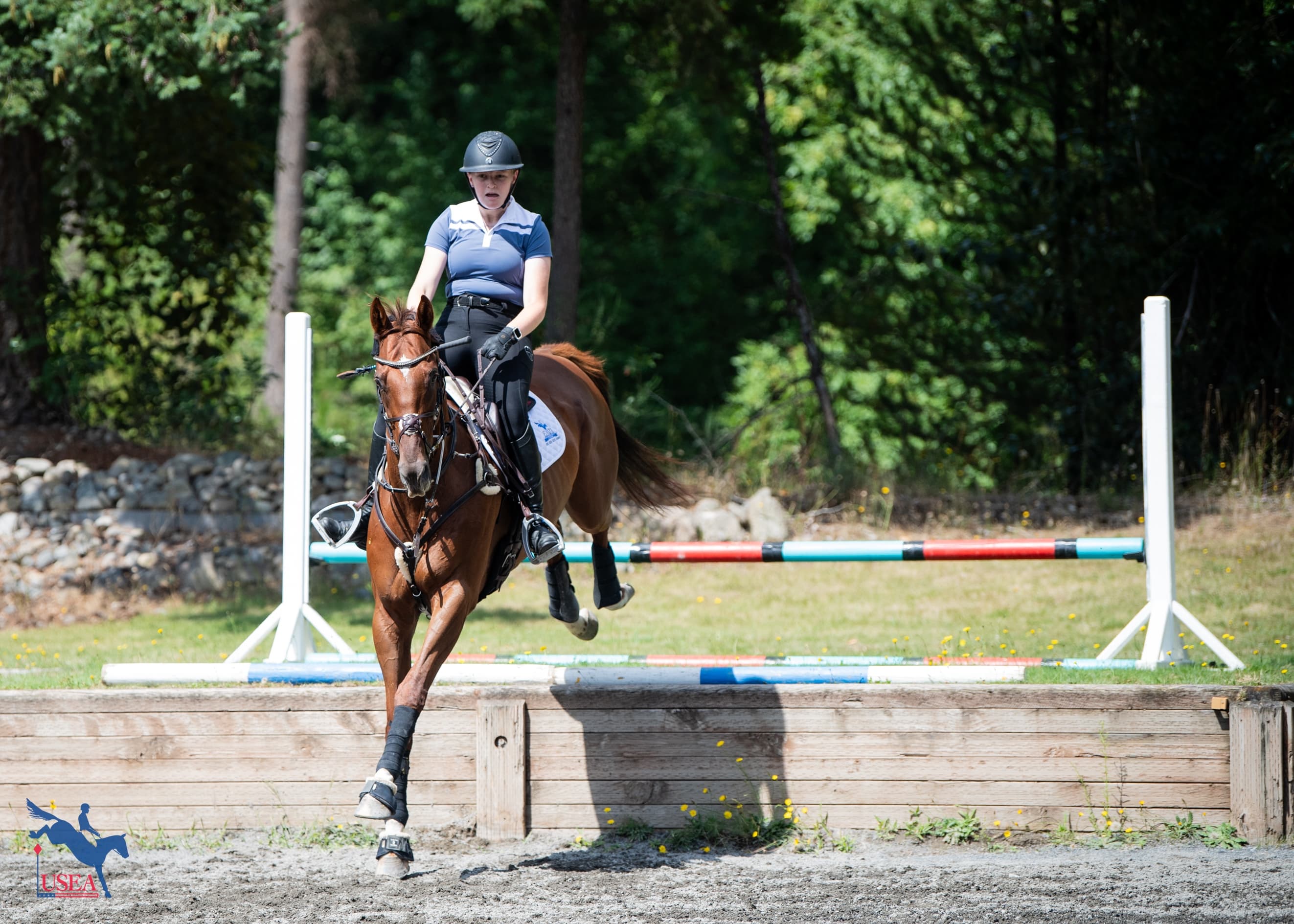 USEA/Lindsay Berreth photo