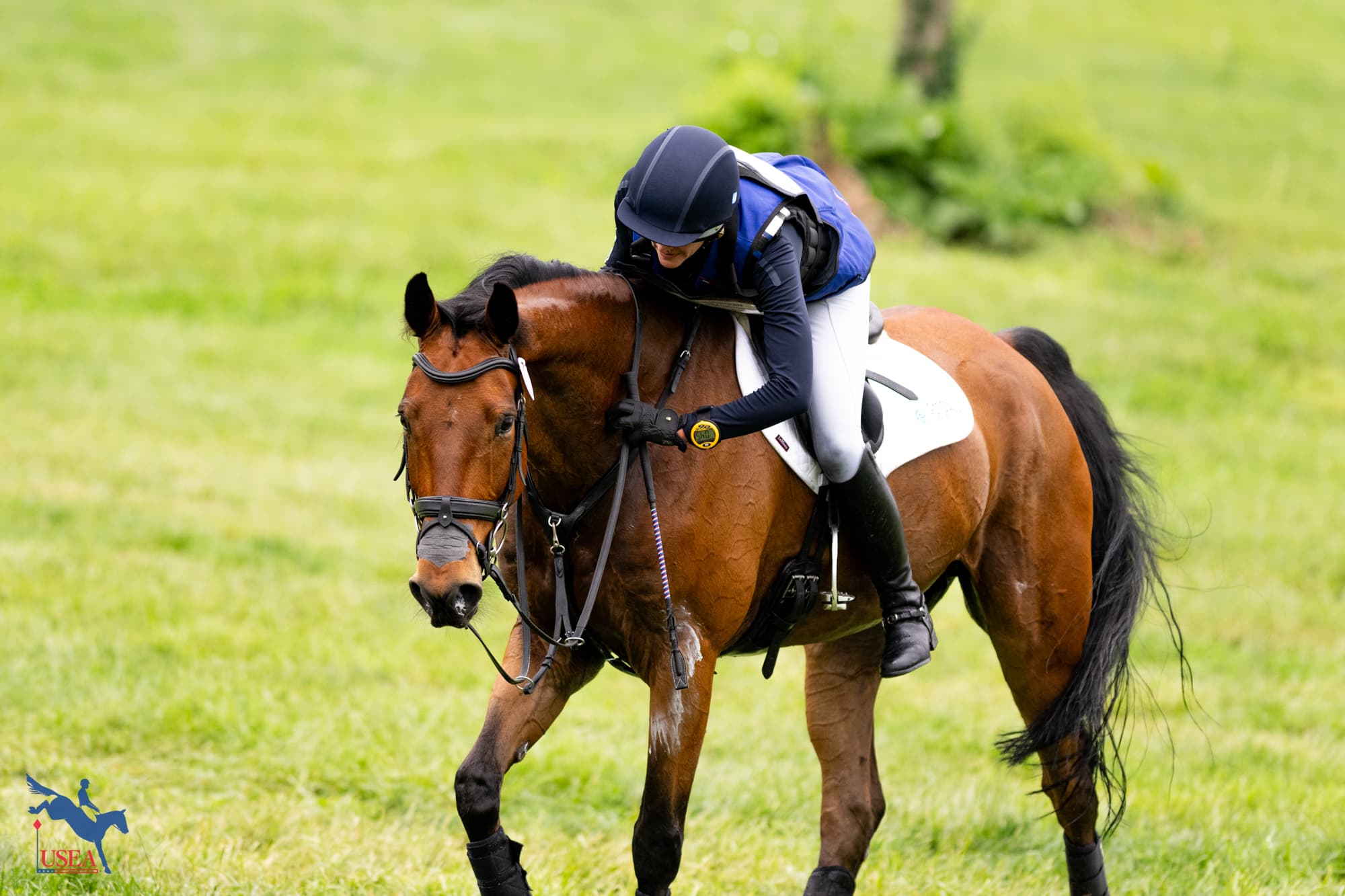 USEA/Atalya Boytner photo