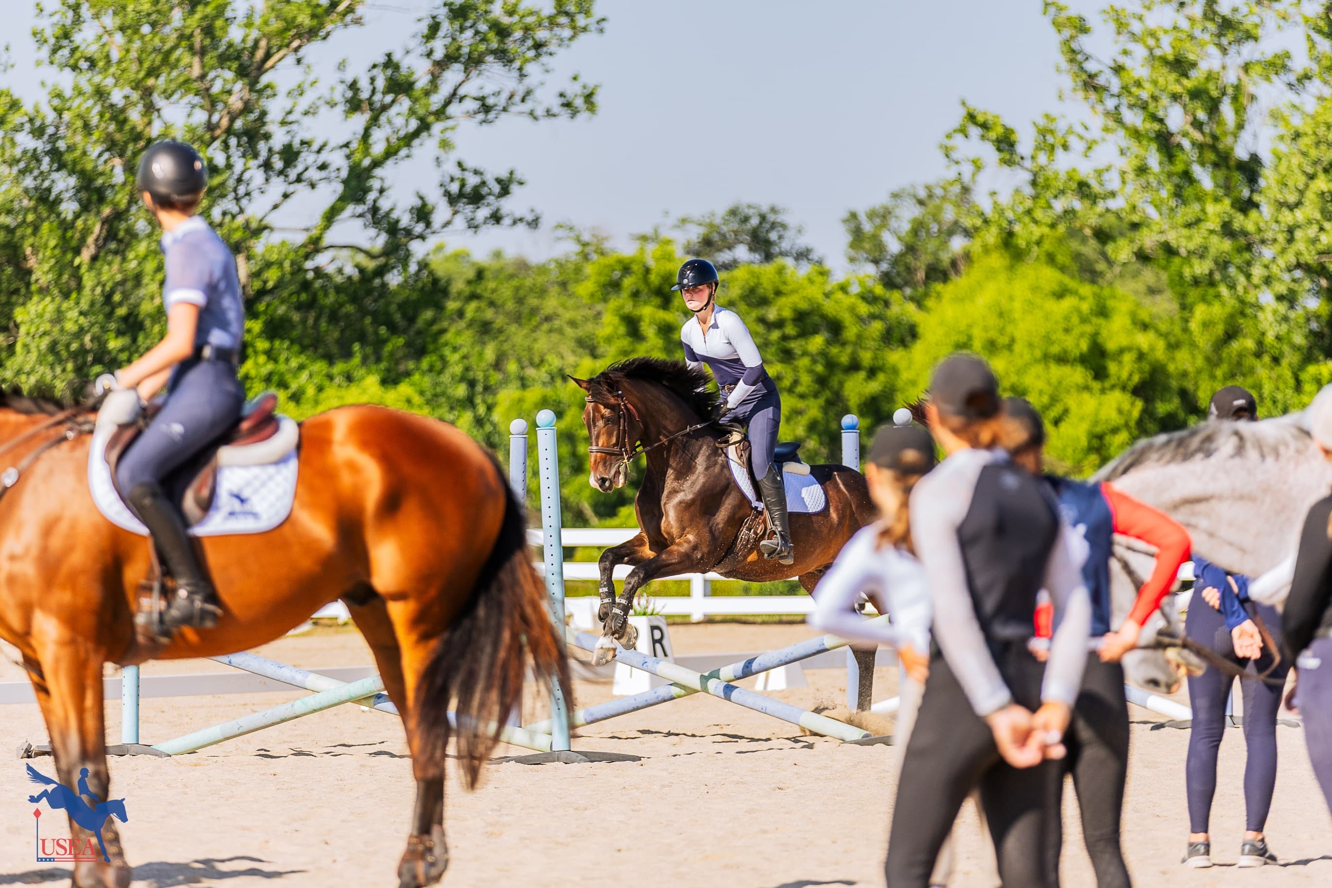 USEA/Haley Johnson photo
