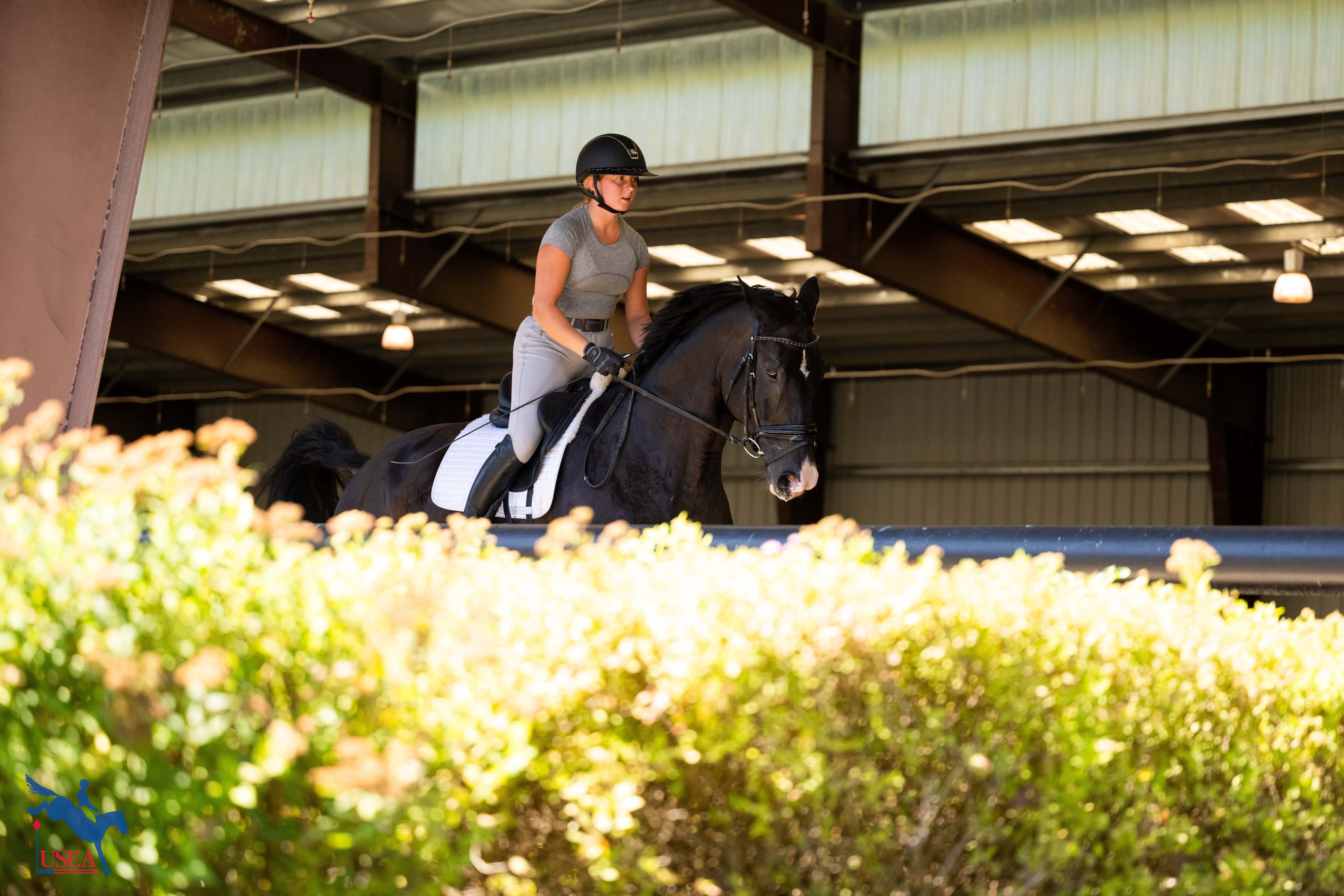 Hanni Sreenan. USEA/Atalya Boytner photo