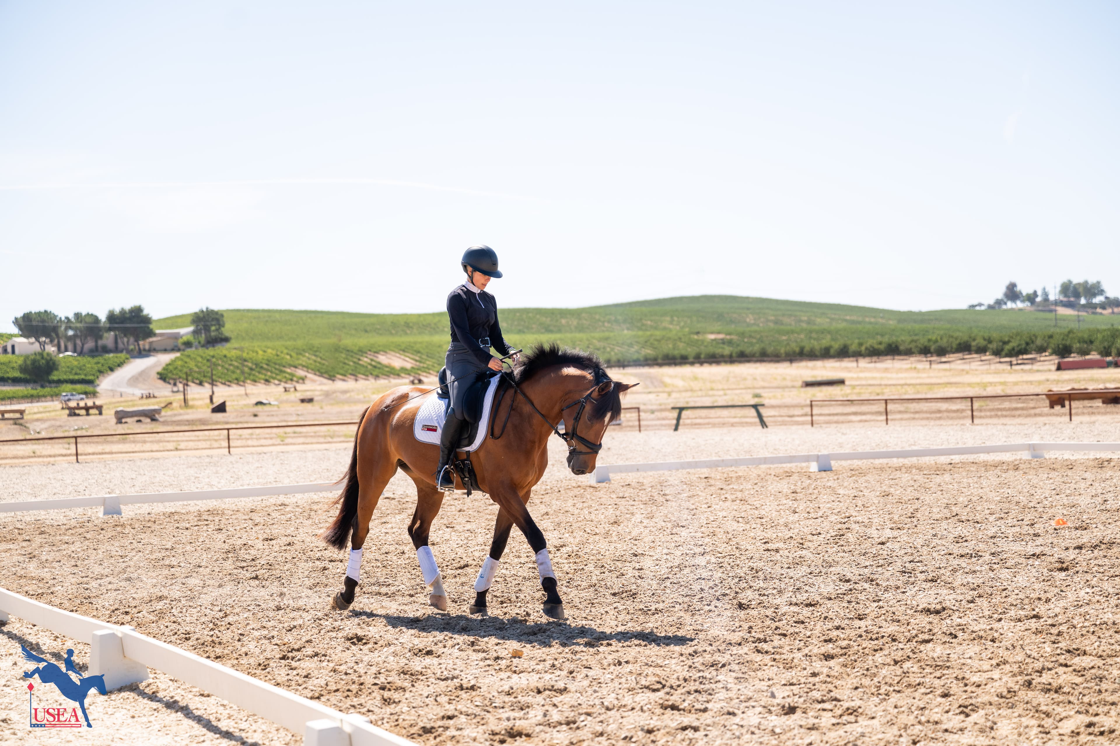 Julia Beauchamp Crandon. USEA/Atalya Boytner photo