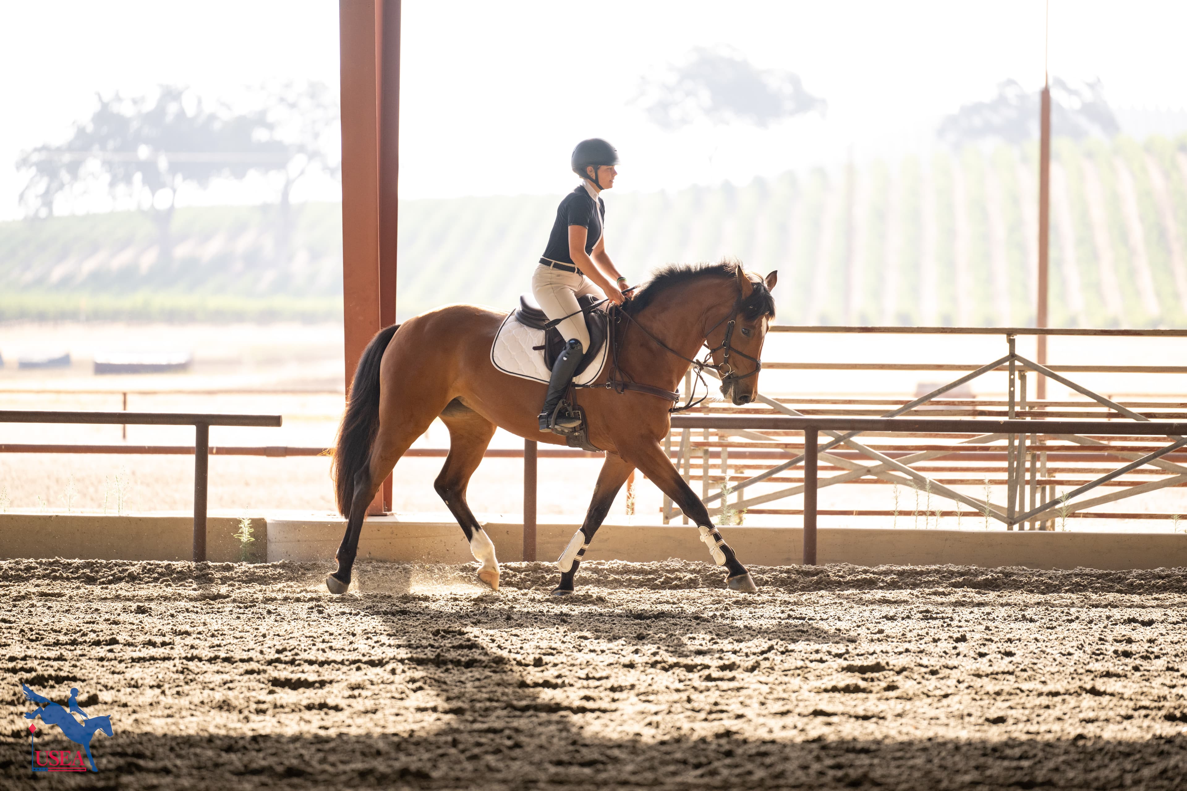 USEA/Atalya Boytner photo