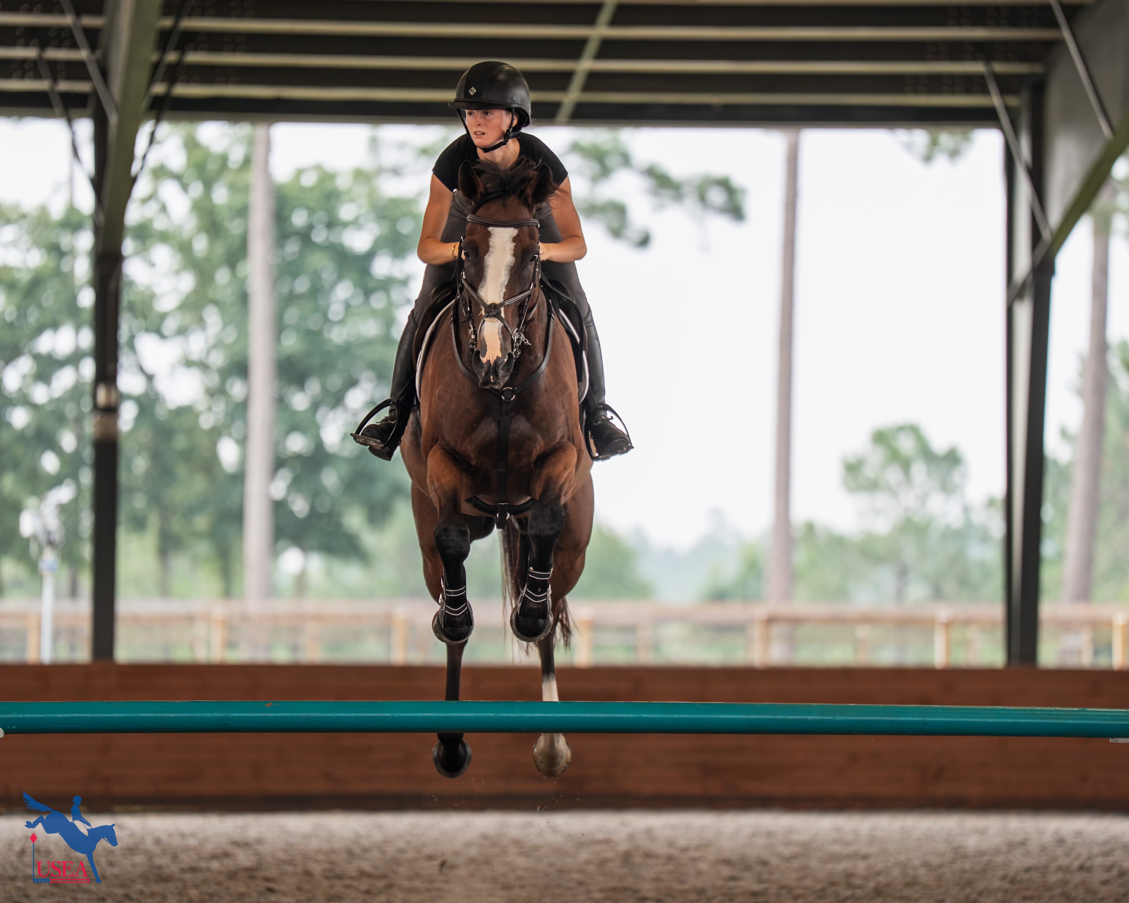 USEA/Christine Quinn photo