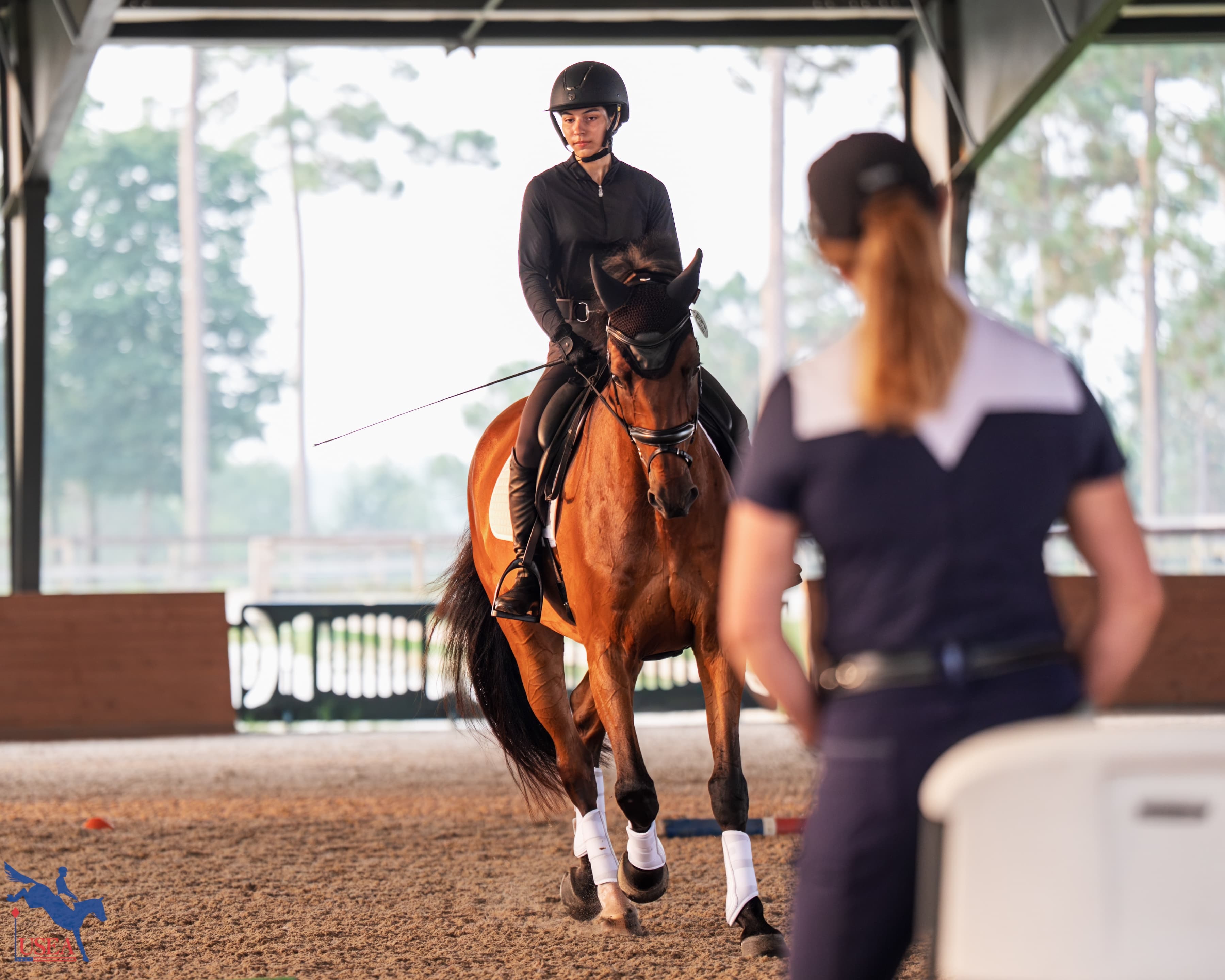 USEA/Christine Quinn photo