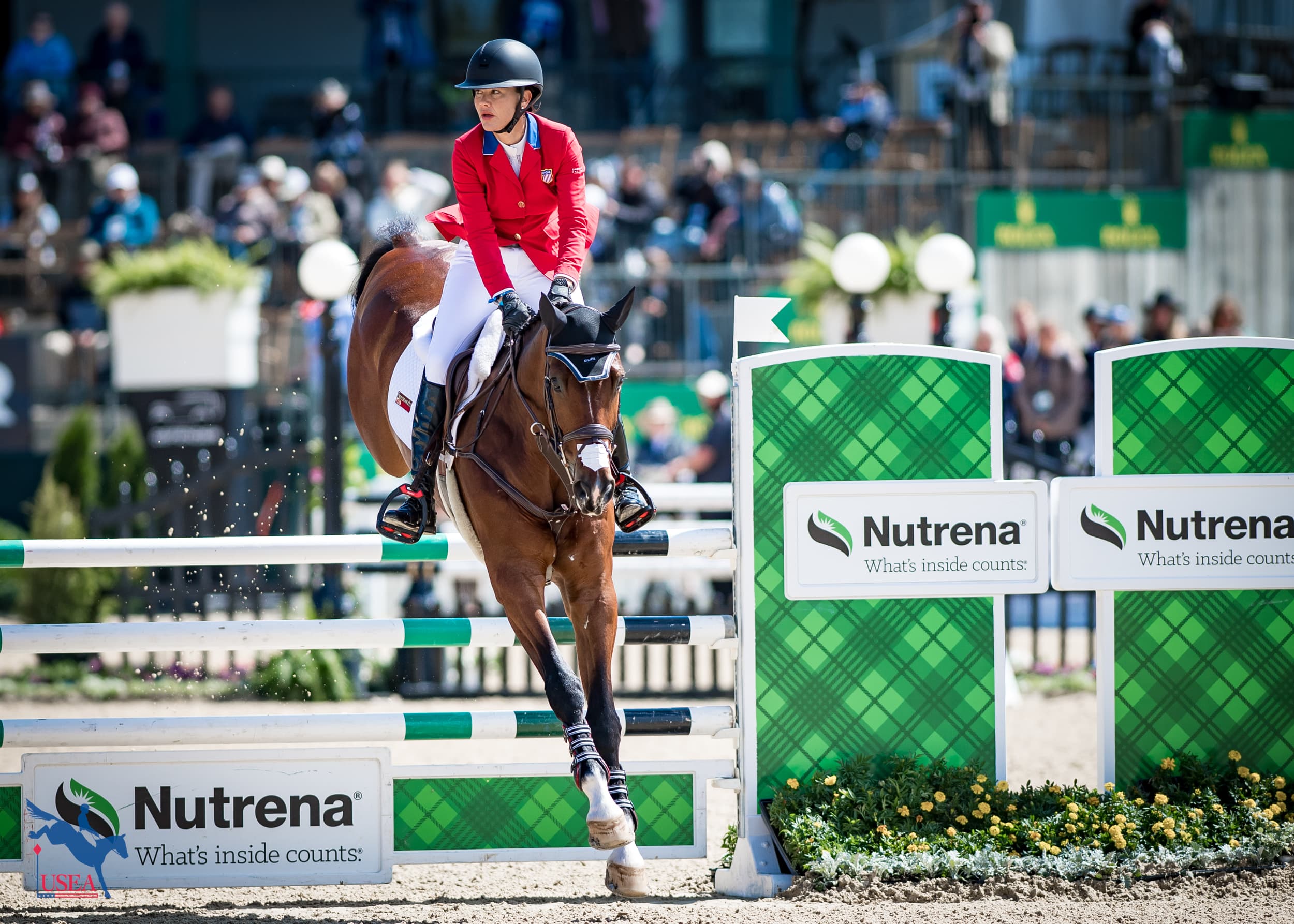 USEA/Lindsay Berreth photo