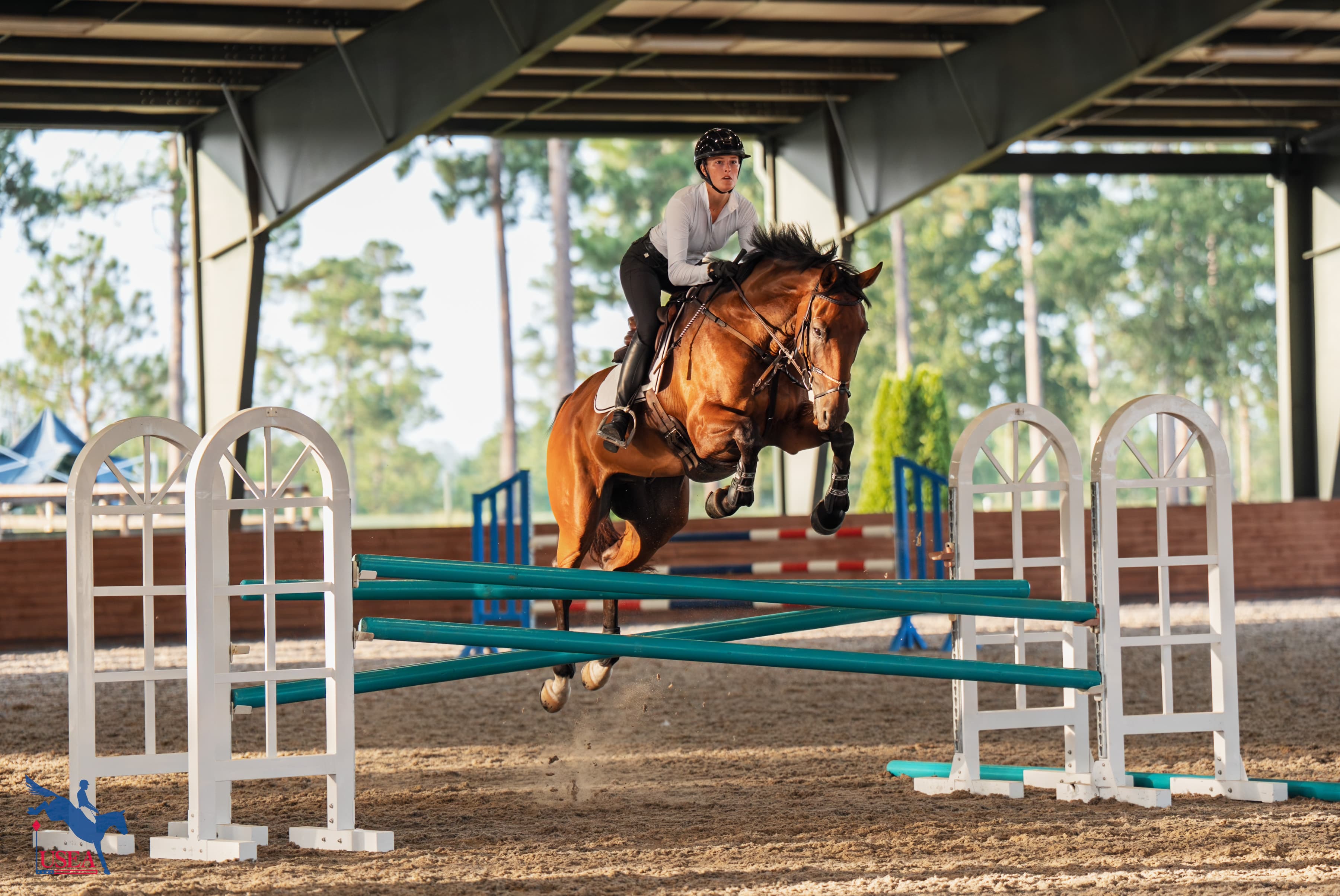 USEA/Christine Quinn photo