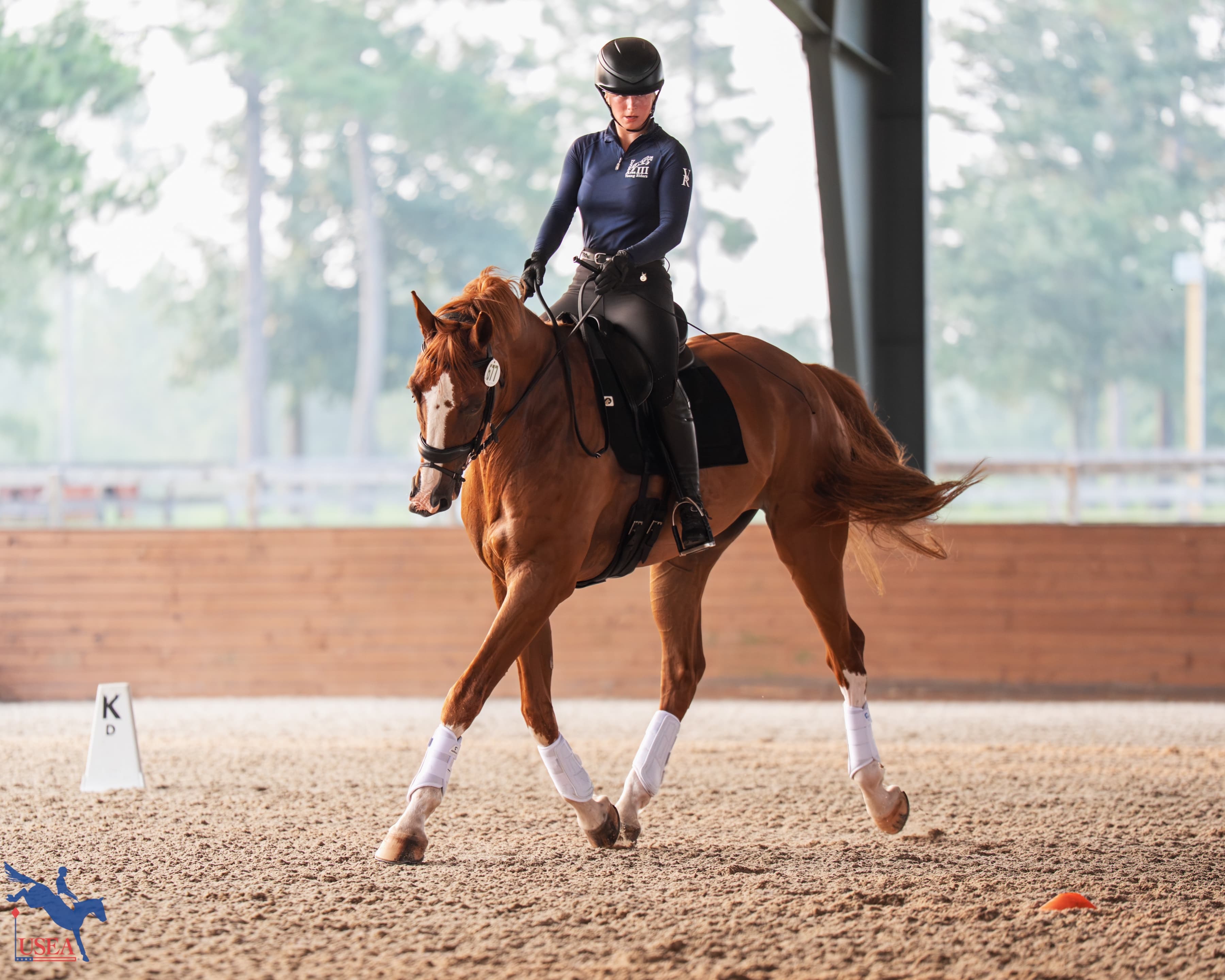 USEA/Christine Quinn photo