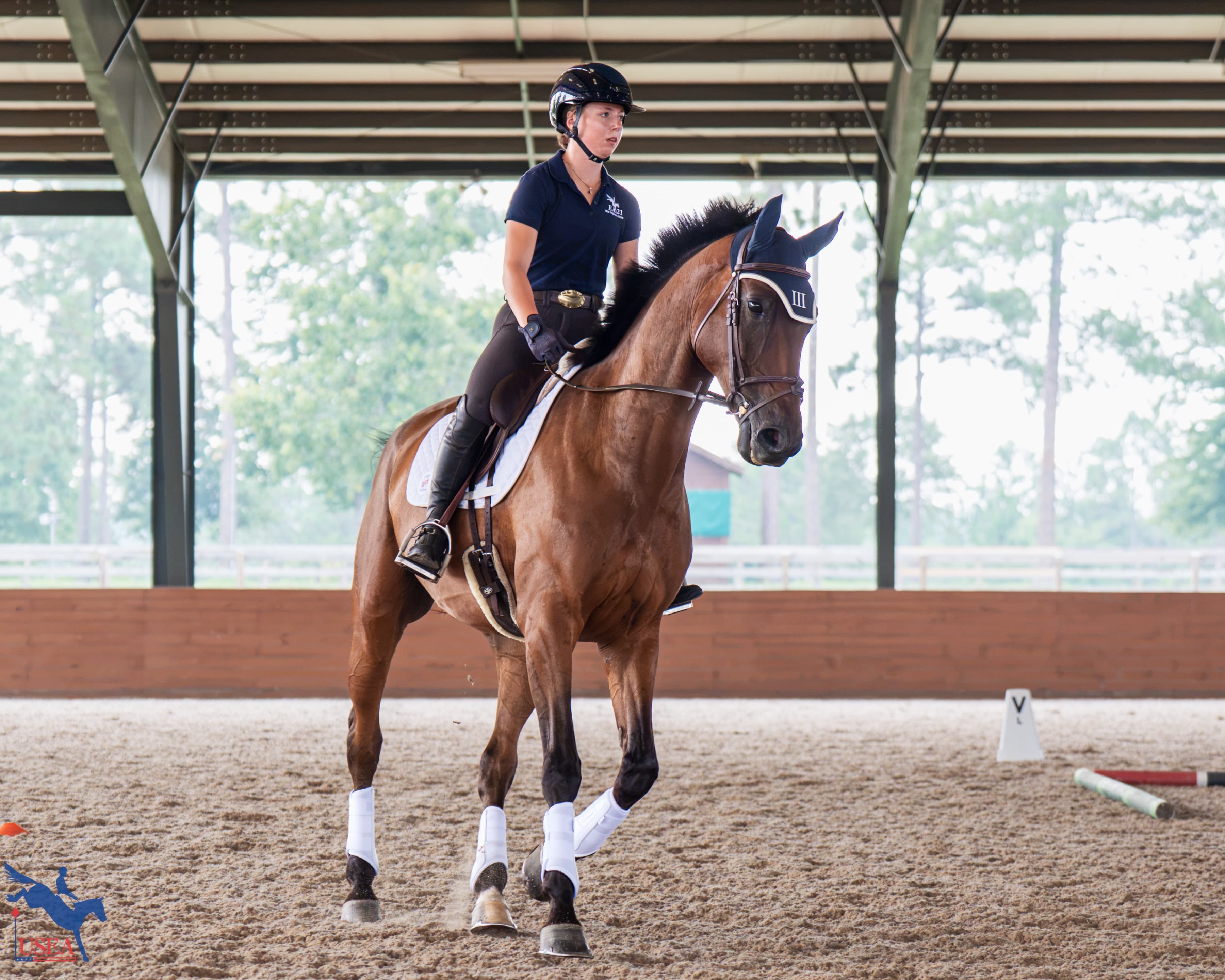 USEA/Christine Quinn photo