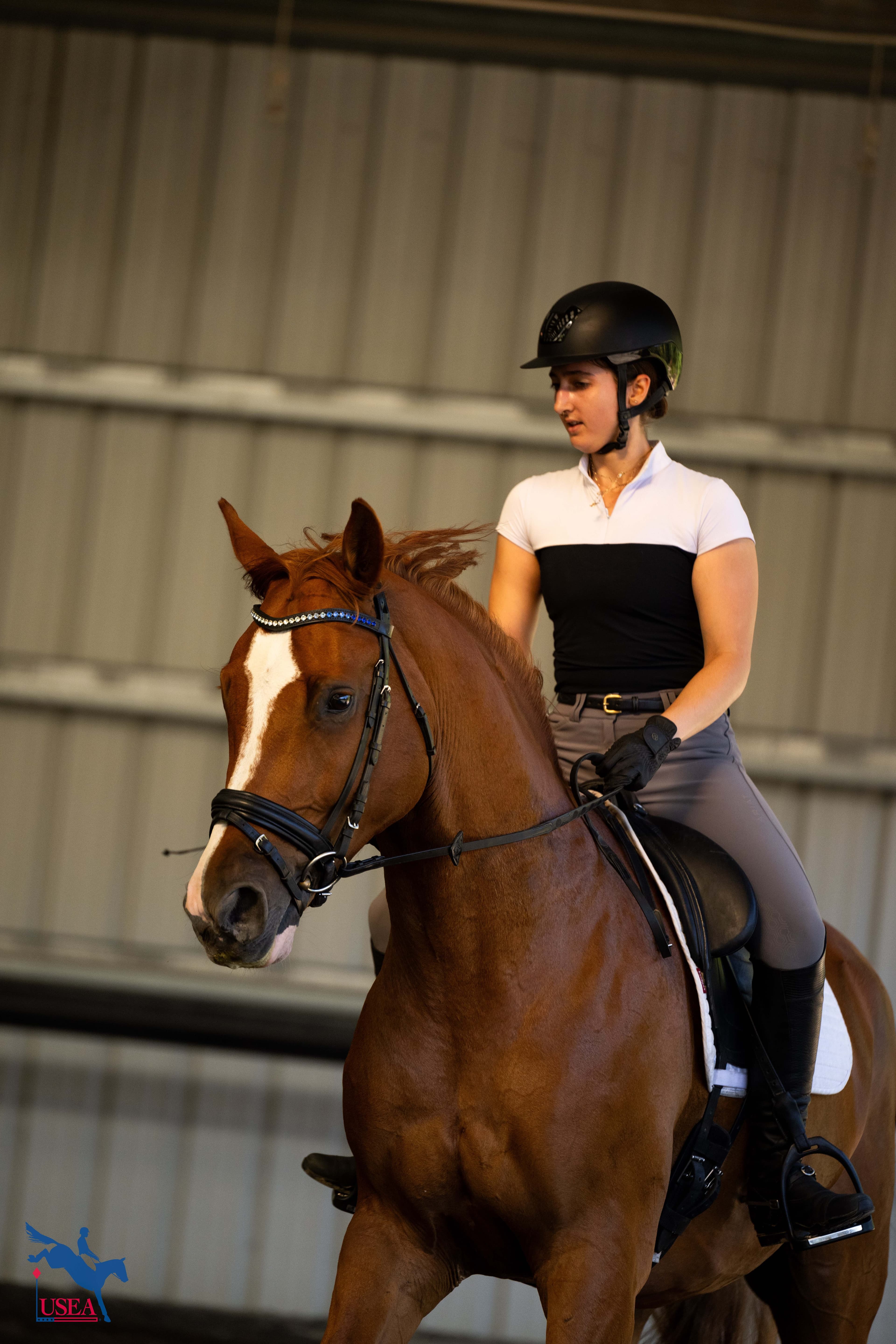 USEA/Atalya Boytner photo