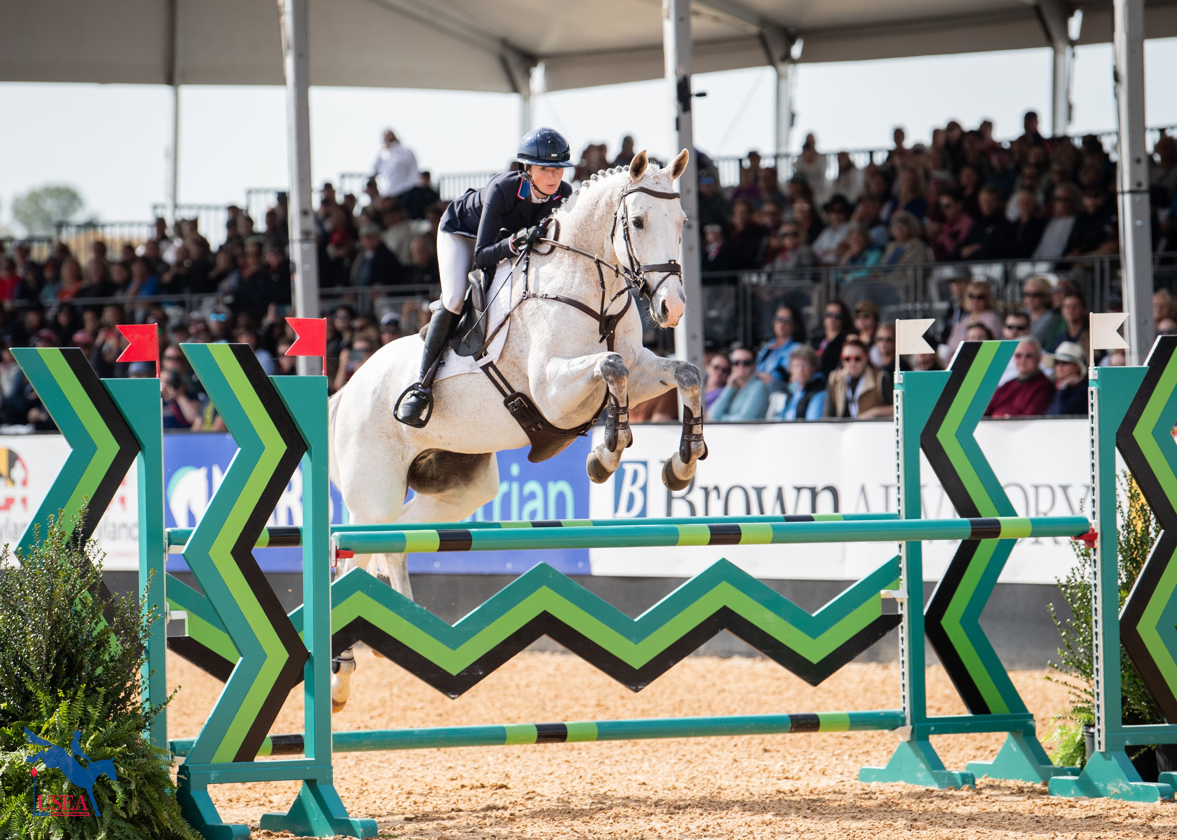 USEA/Lindsay Berreth photo