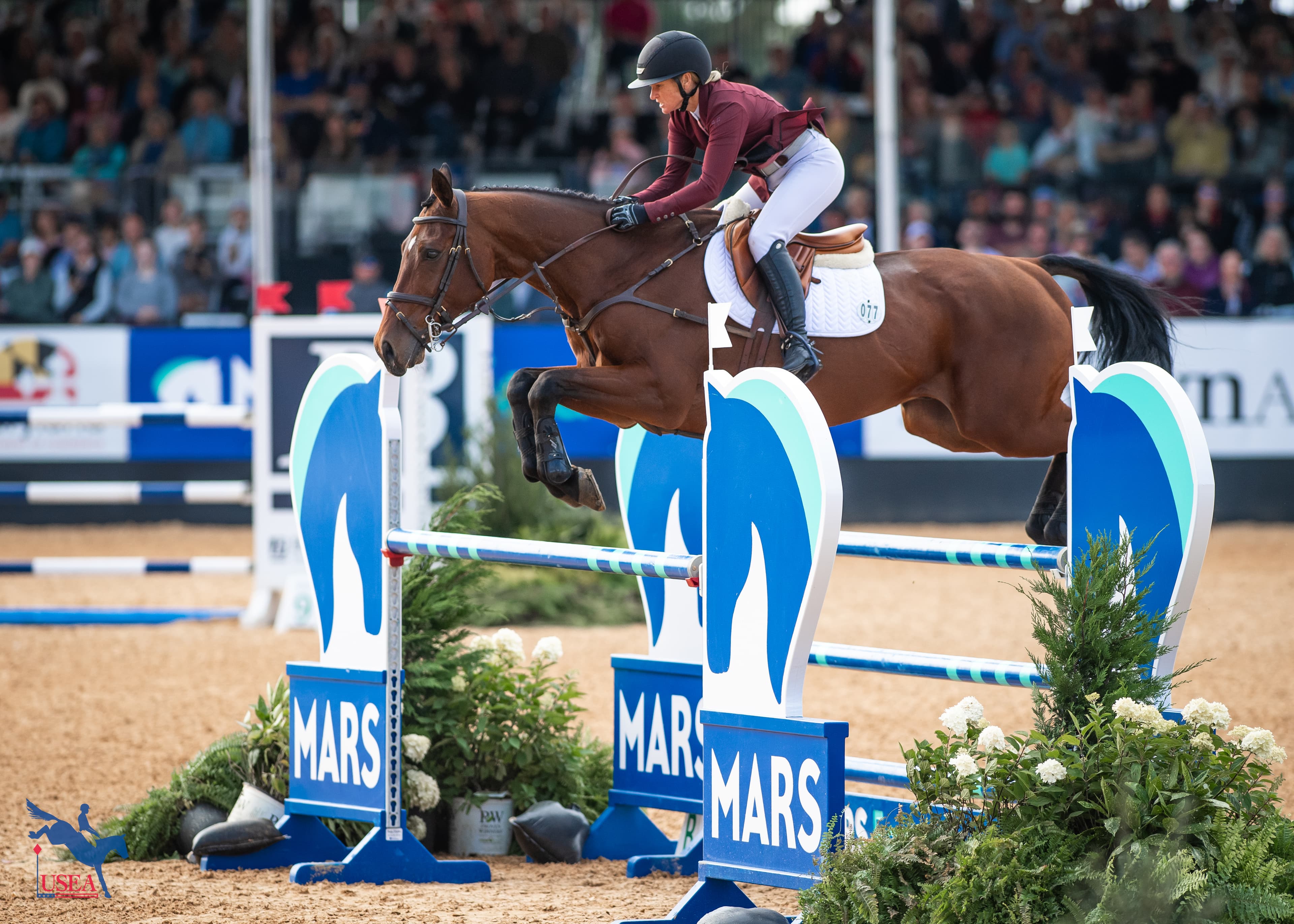 Ninth | Jonelle Price and Chilli's Midnight Star. USEA/Lindsay Berreth photo