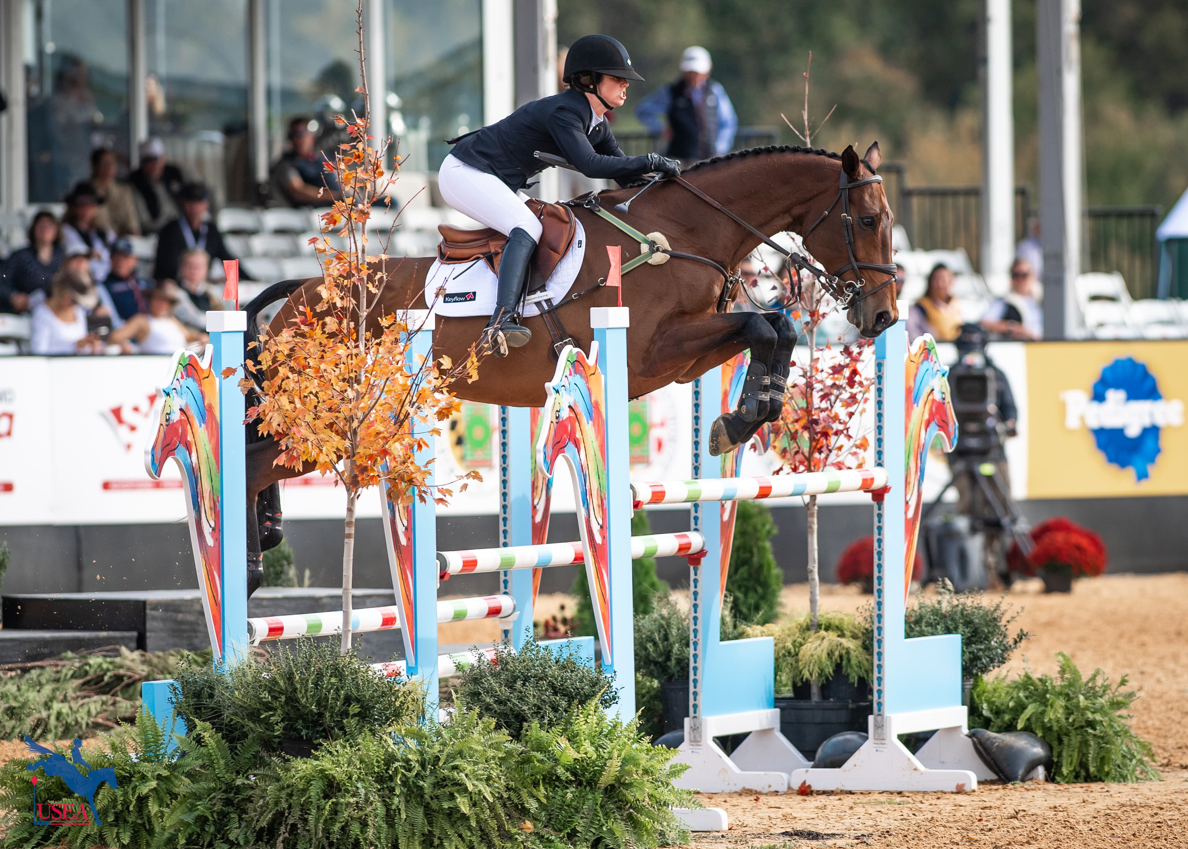Eighth | Tayla Mason and Centennial. USEA/Lindsay Berreth photo
