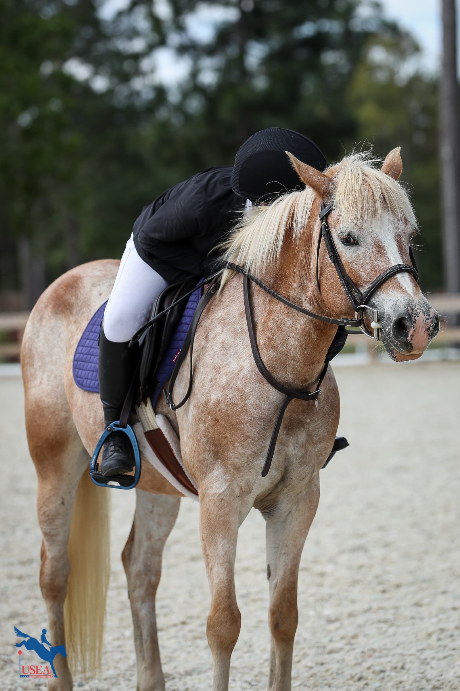 USEA/Annan Hepner photo