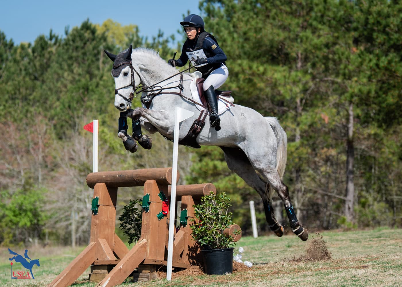Lucia Strini and DHI Kevin G made a big leap over this skinny. USEA/Lindsay Berreth photo