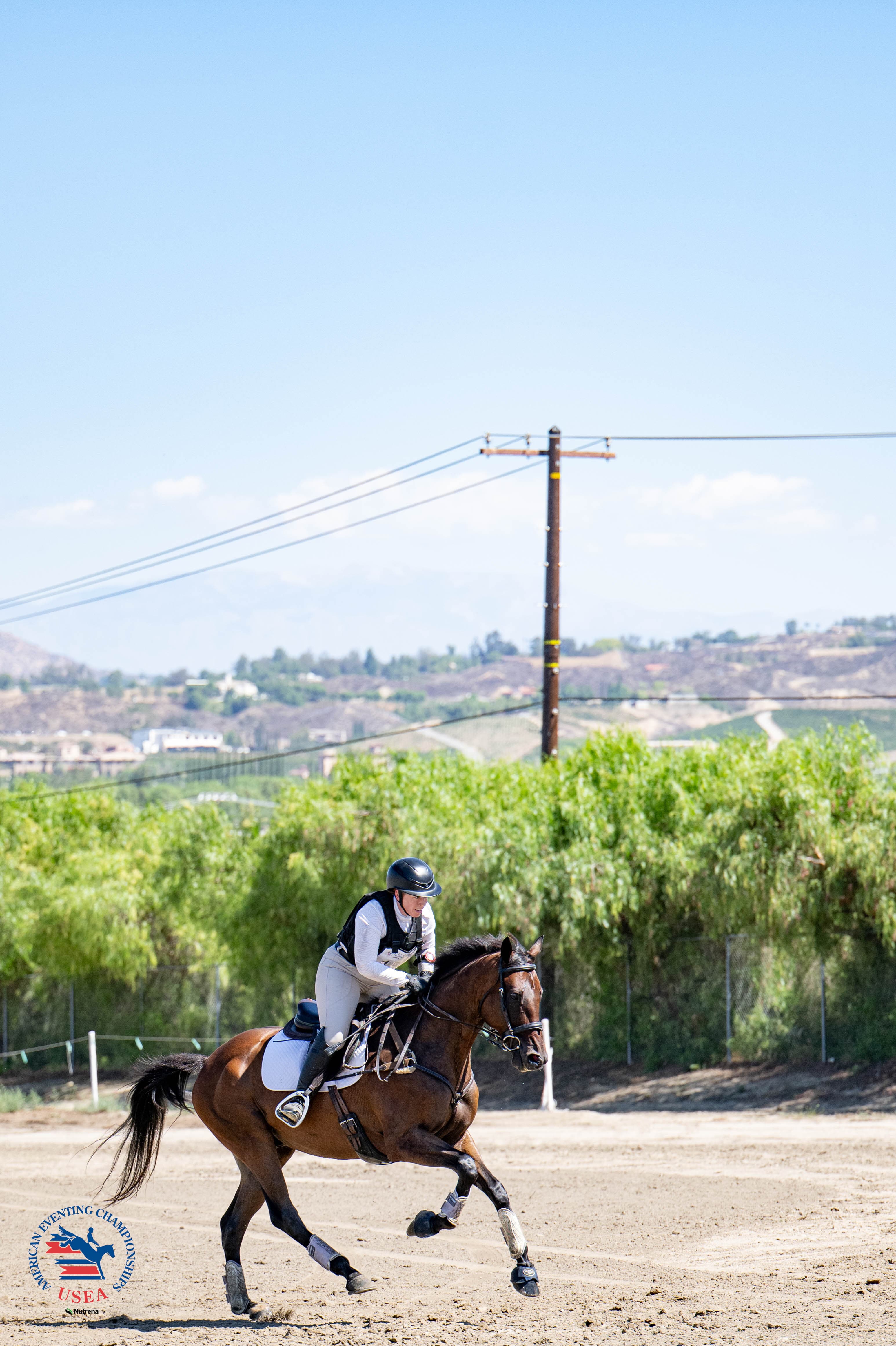 Novice Horse Reserve Champions: Angela Carmitchel and Big Fame. USEA/Veronica Green-Gott photo