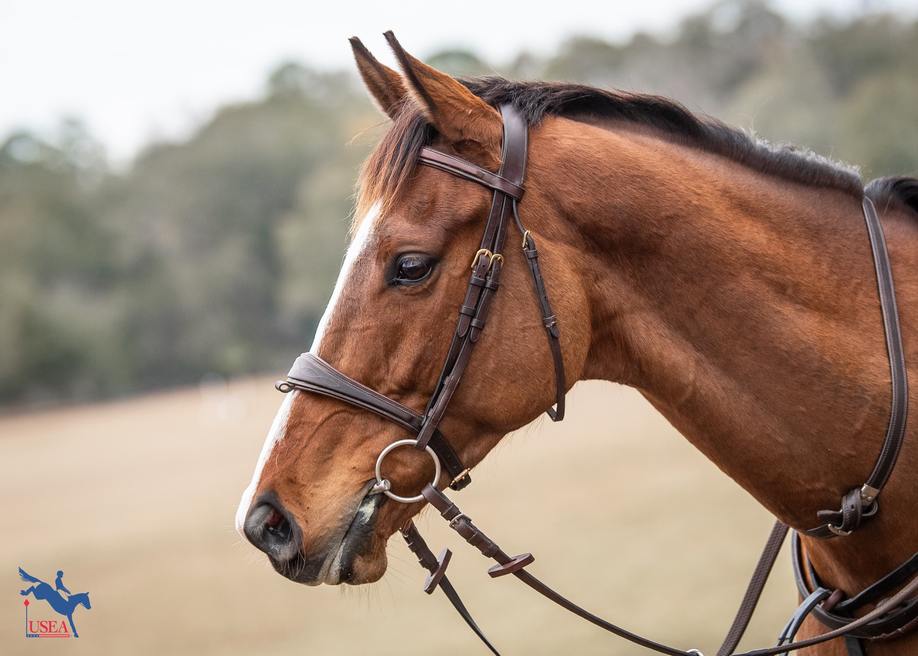 USEA/Lindsay Berreth photo
