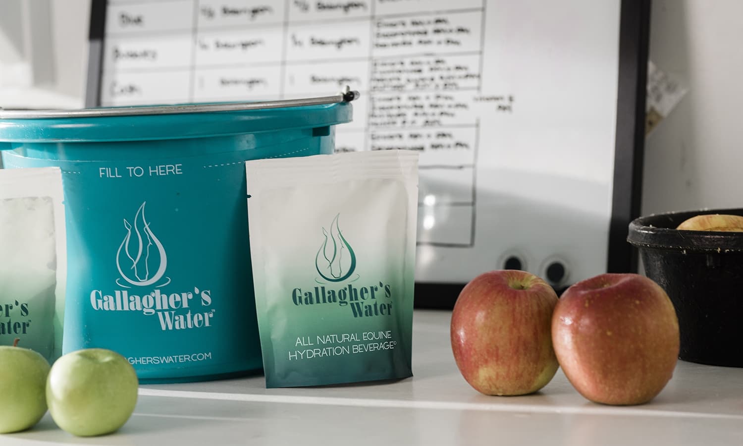 Trust the Bucket: What University Research Taught Us About Equine Hydration