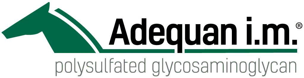 Official Joint Therapy Treatment of the USEA