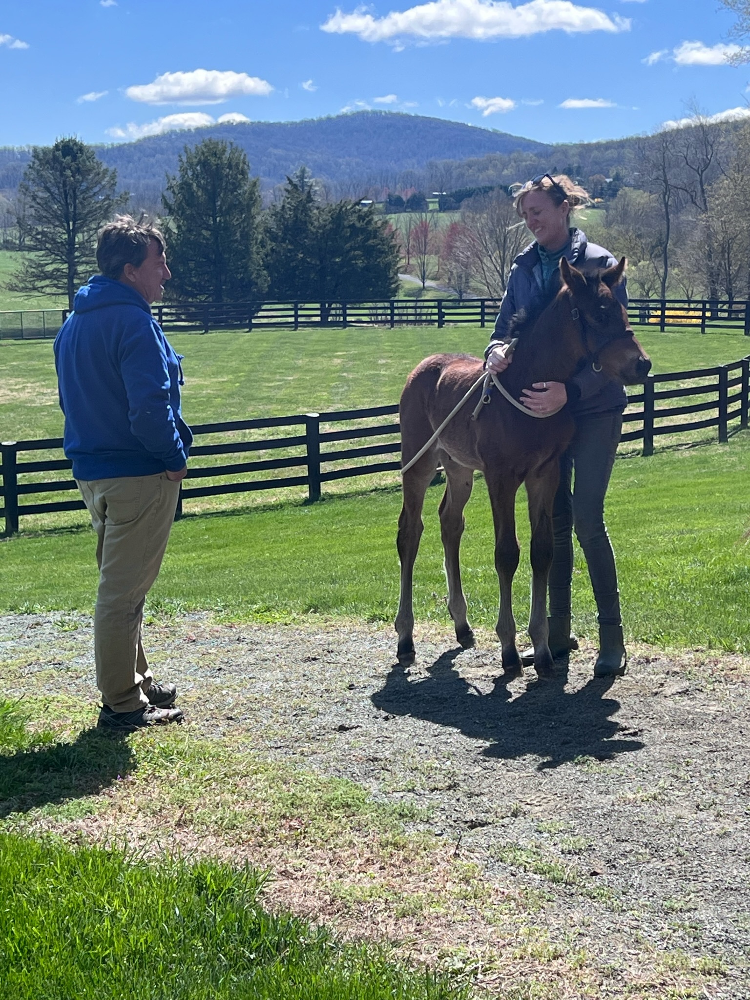 David O'Connor's (left) interest in natural horsemanship has given Landmark homebreds a strong start on the ground. Photo courtesy of Lauren Nicholson