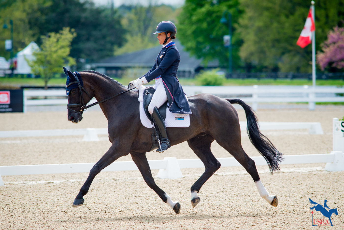 Fast Facts Badminton Horse Trials