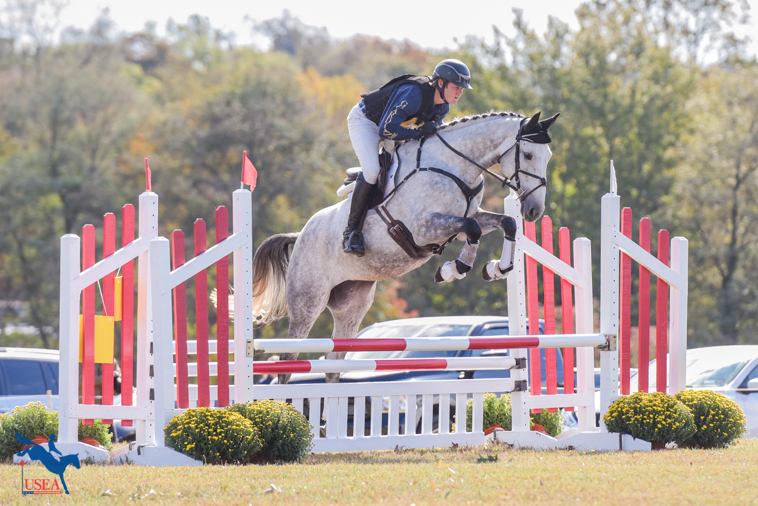 Redtail Penumbra at the 2020 YEH East Coast Championships. USEA/ Leslie Mintz photo.