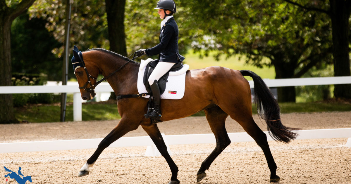 Updates To 2022 USEF Eventing Dressage Tests