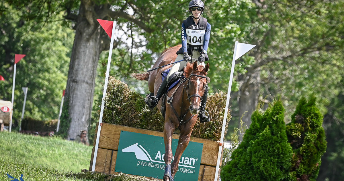 Are You Qualified to Compete at the 2024 USEA American Eventing