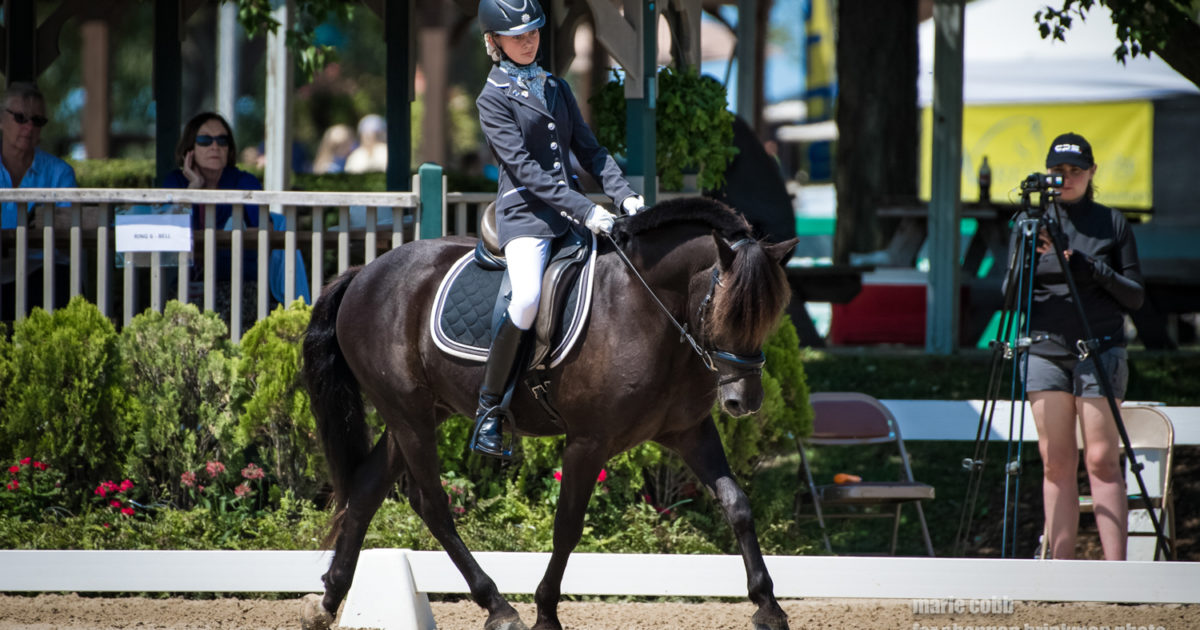 Best For Last: Beginner Novice Brings AEC Dressage to a Close