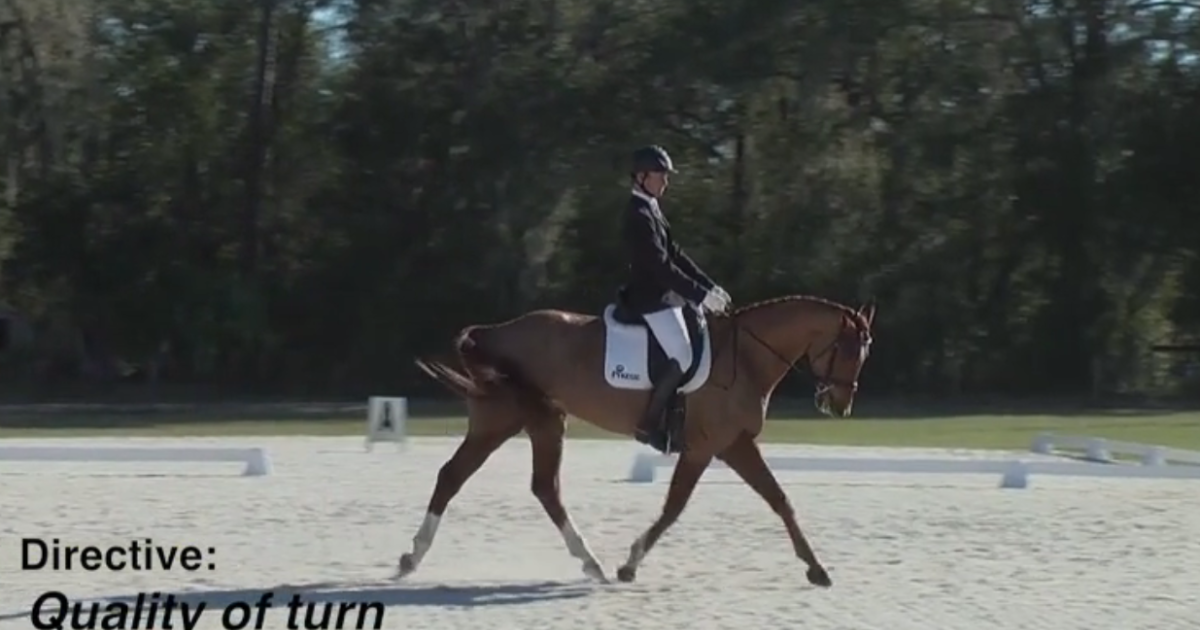 Eventing Training Online Presents Video RideThroughs of USEF Eventing