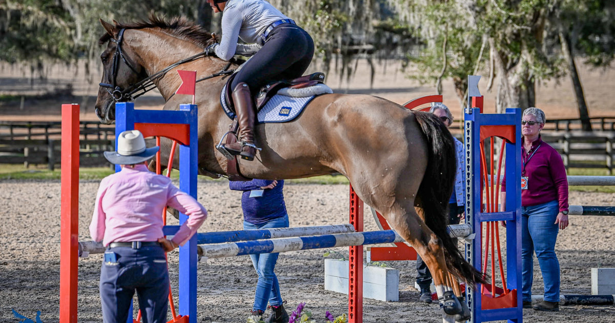 The Five Rider Responsibilities In Show Jumping: 2023 ECP Symposium Day Two