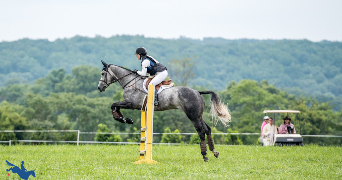 The 2020 New Event Horse Calendar is Now Available