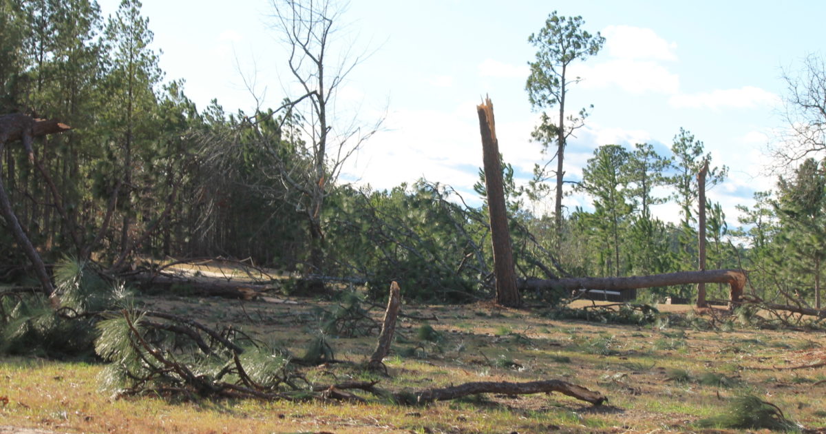 Business as Usual for Stable View in Wake of Tornado