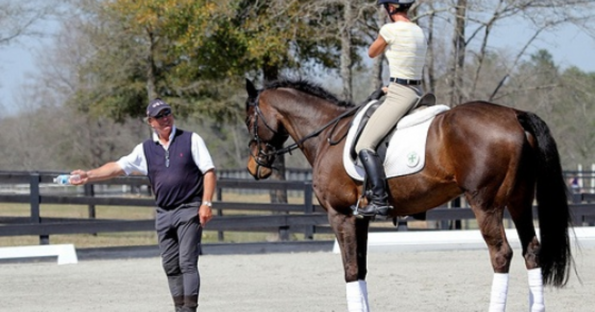 Galloping And Setting Up For Cross Country Fences A Conversation With Captain Mark Phillips