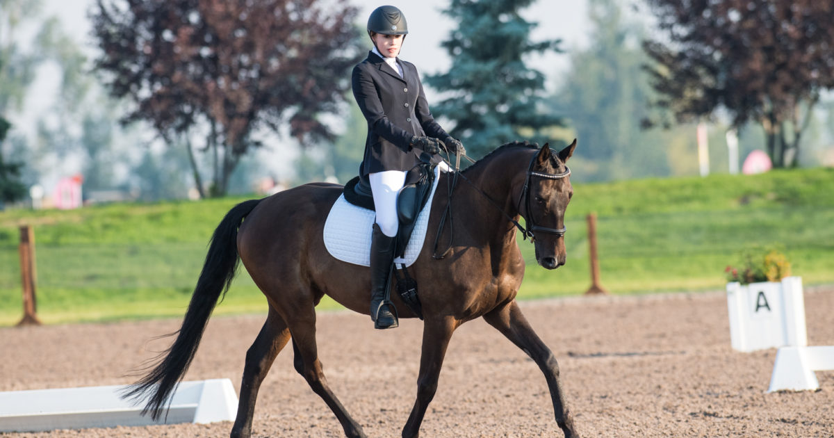 usea-beginner-novice-championship-divisions-lead-the-charge-to-weekend