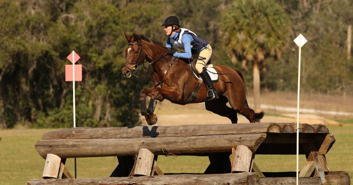USEA Events AZ Rocking Horse Stables Horse Trials
