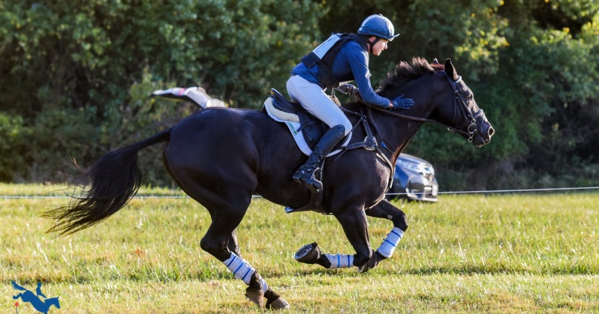 Humbled by Horses: A Conversation with Valerie Vizcarrondo Pride