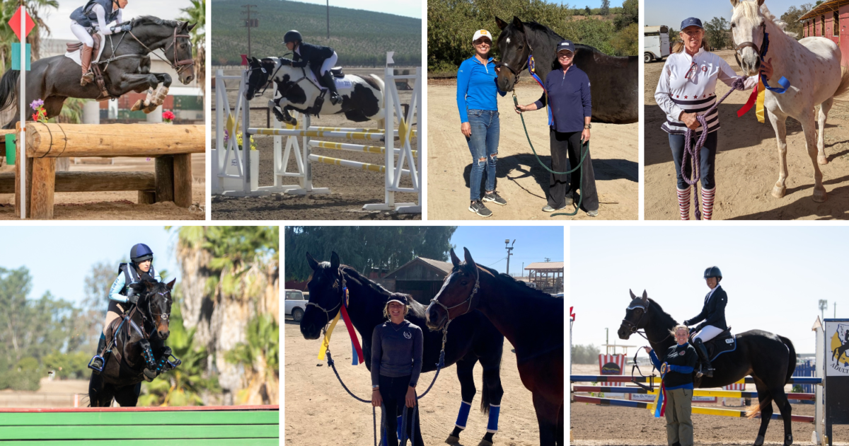 Stepping up so others may saddle up: Student volunteers make Relational  Riding Academy camp successful